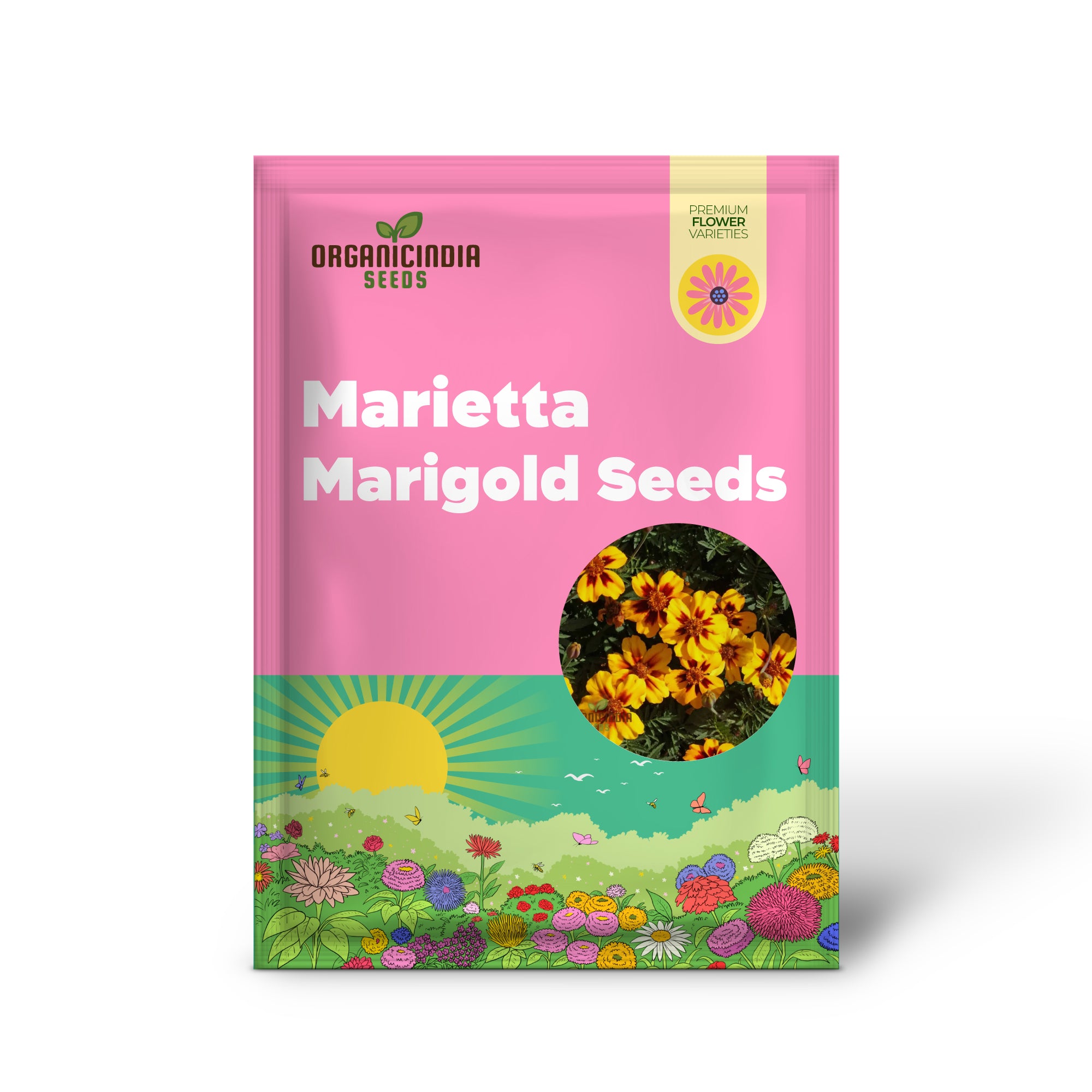 SeedNaughty Marietta Marigold Seeds Premium Quality Seeds for Vibrant Garden Blooms and Successful Gardening