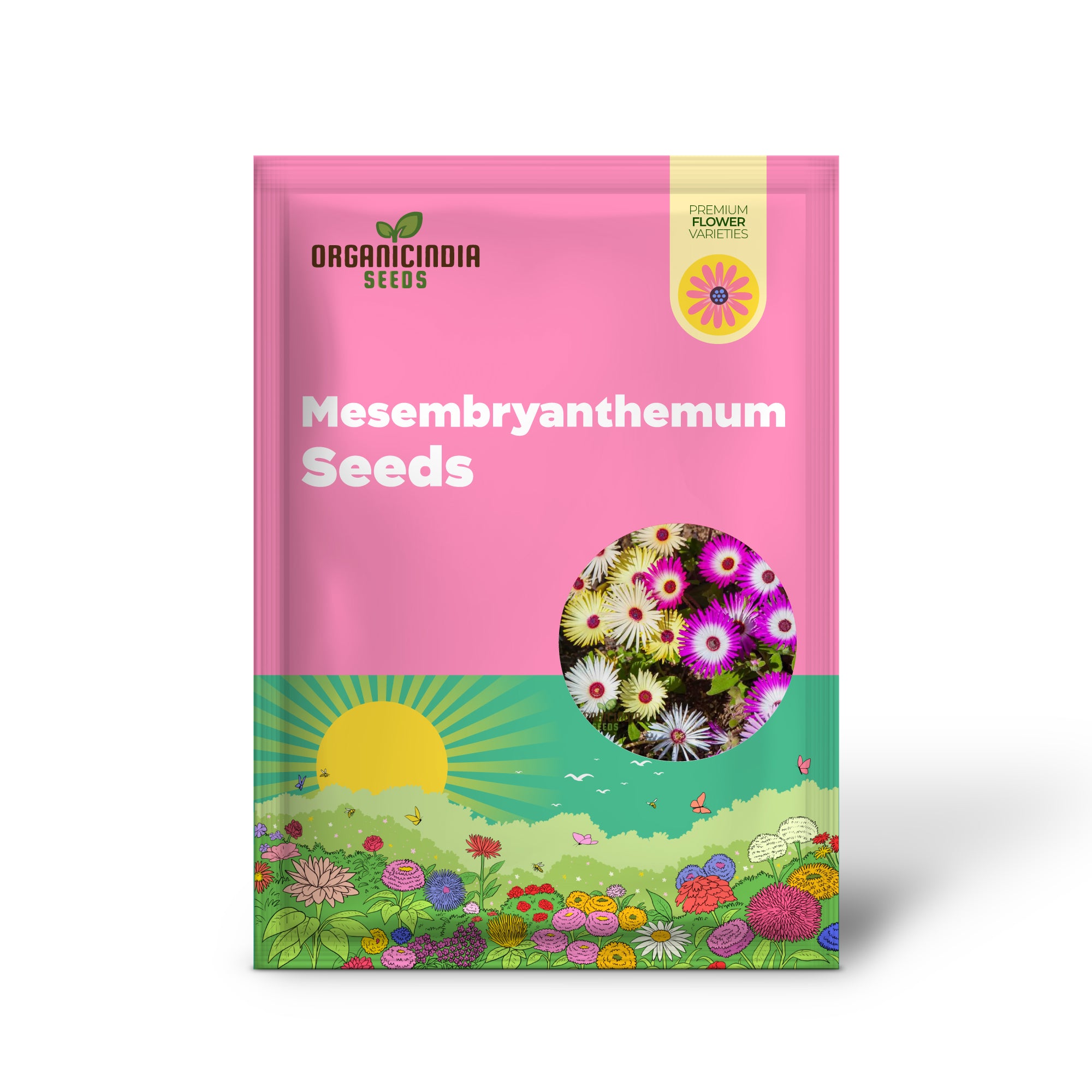 Mélange de graines Mesembryanthemum Sunshine pour un jardinage dynamique : parfait pour créer un jardin coloré et résistant à la sécheresse