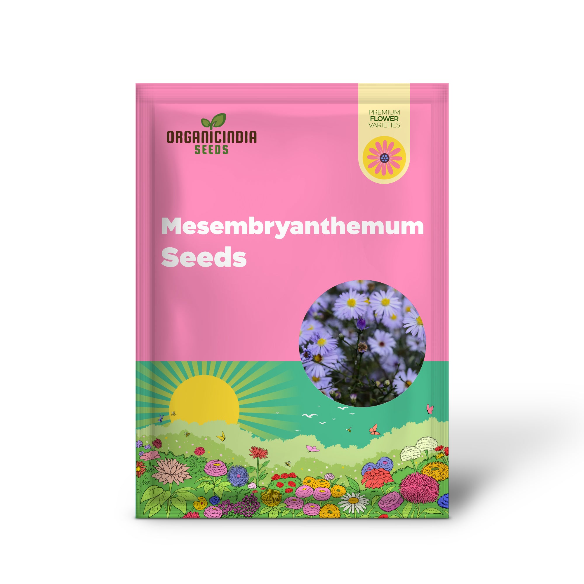 Mesembryanthemum Sunshine Mix Seeds for Vibrant Gardening: Perfect for Creating a Colorful and Drought-Resistant Garden