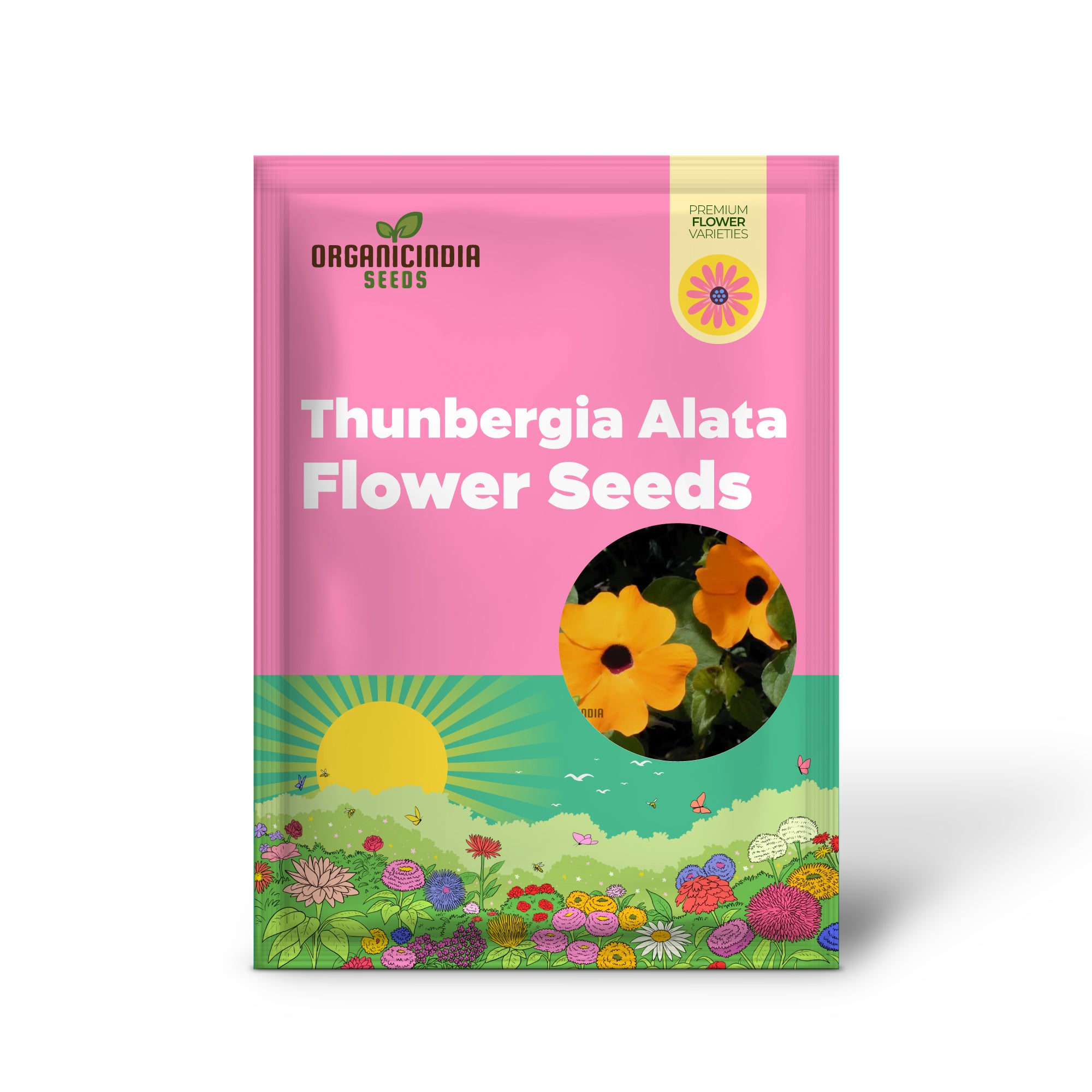 Thunbergia Alata Flower Seeds For Planting, with Expert Gardening Tips