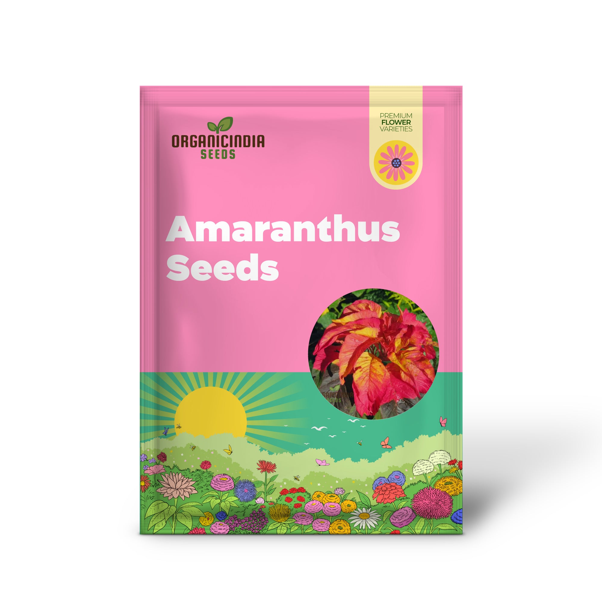 Amaranthus Illumination Seeds: Discover Vibrant Colors and Easy Gardening Solutions!