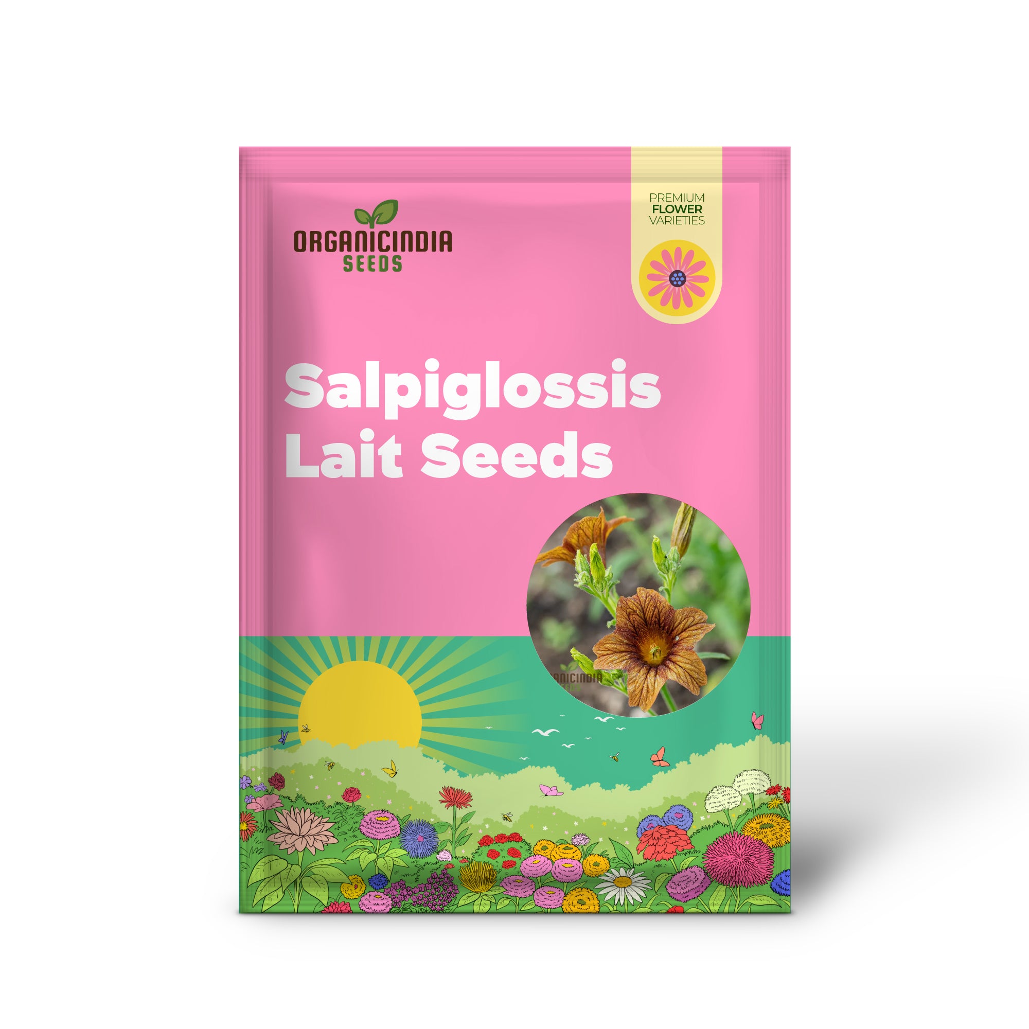 Salpiglossis Café au Lait-Samen – Kultivieren Sie elegante und zarte Café au Lait Salpiglossis-Blumen in Ihrem Garten