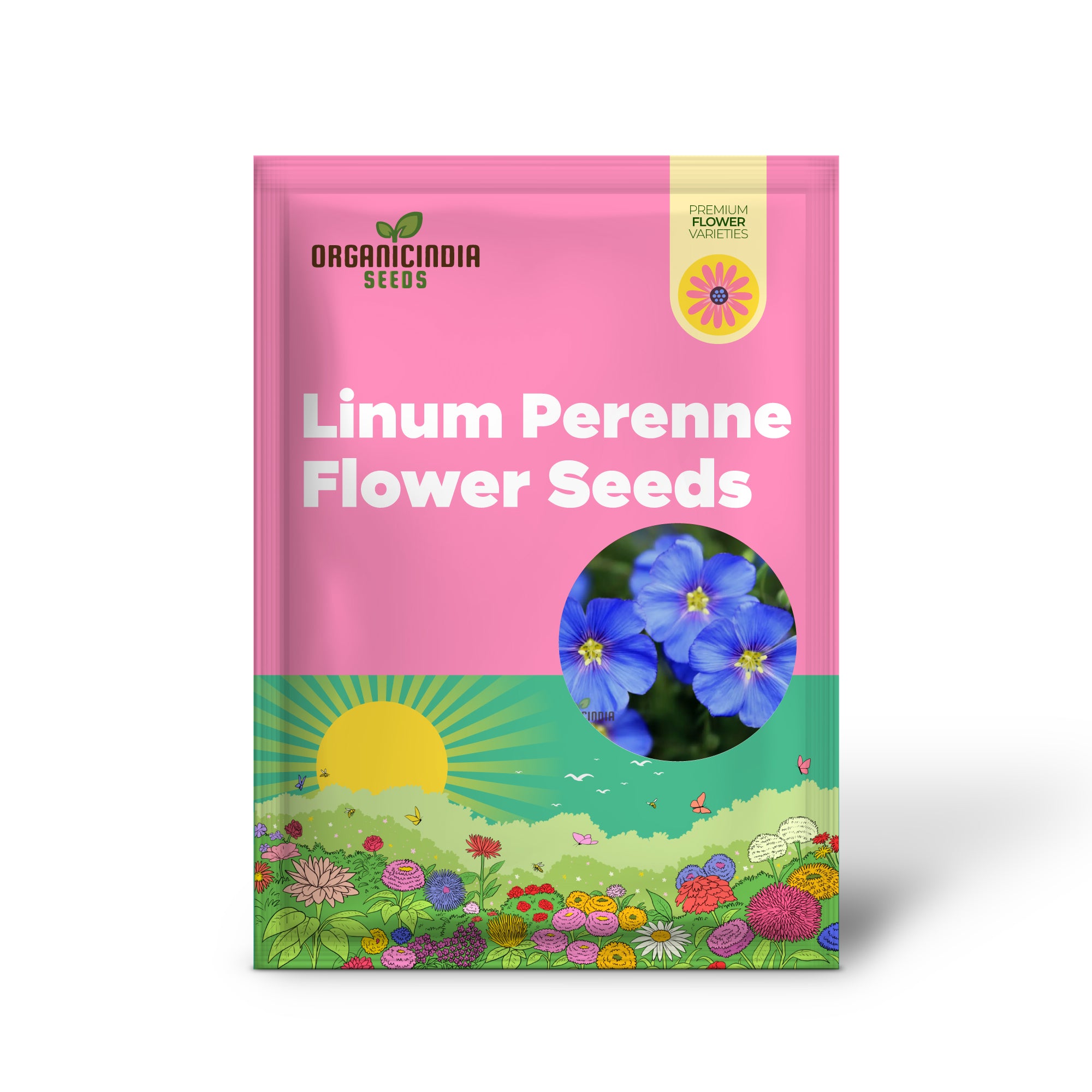 Linum Perenne (Perennial Flax) Flower Seeds, Cultivate Long-lasting Beauty in Your Garden with Expert Seed Planting and Gardening