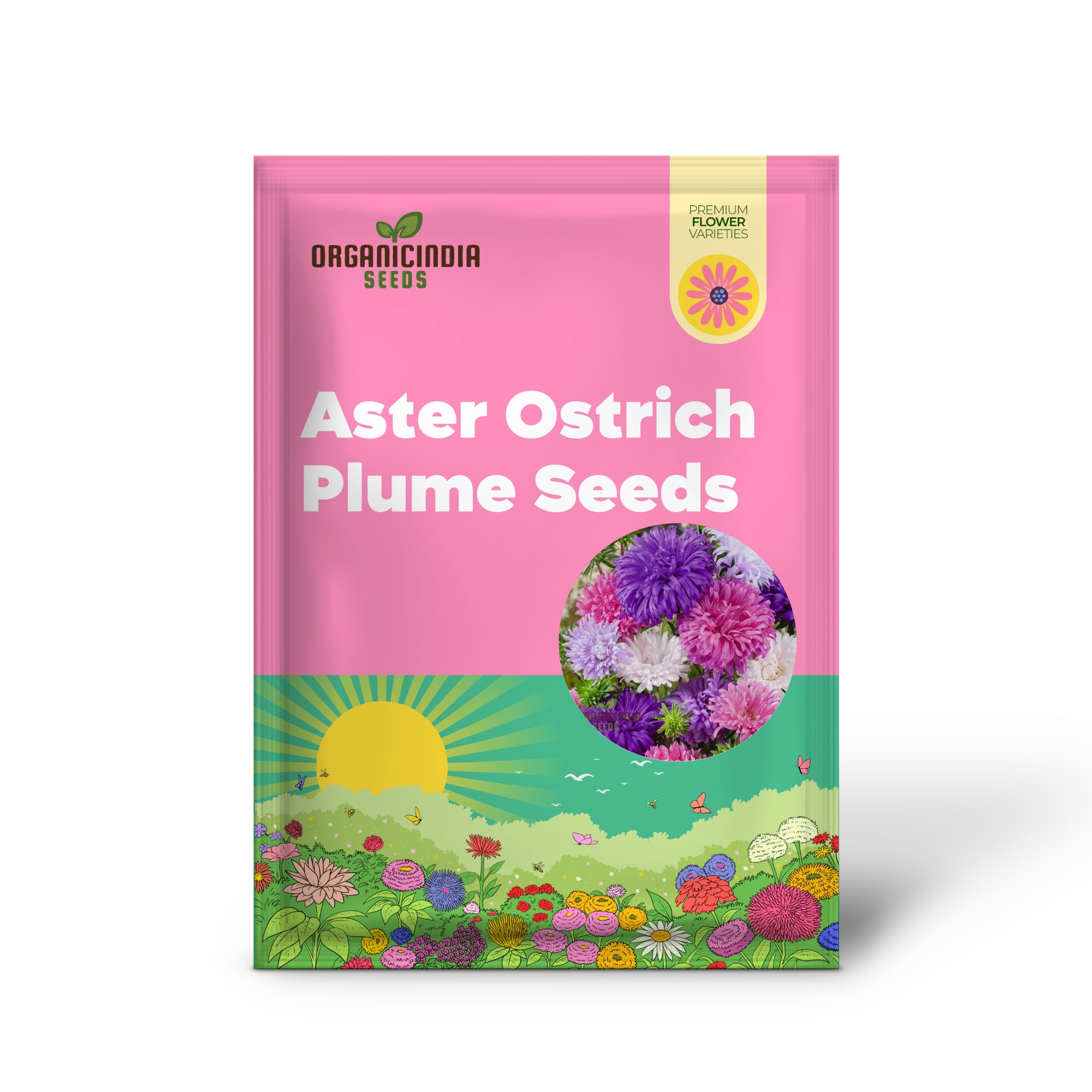 Graines d'Aster Ostrich Plume - Cultivez des fleurs élégantes et plumeuses pour votre jardin