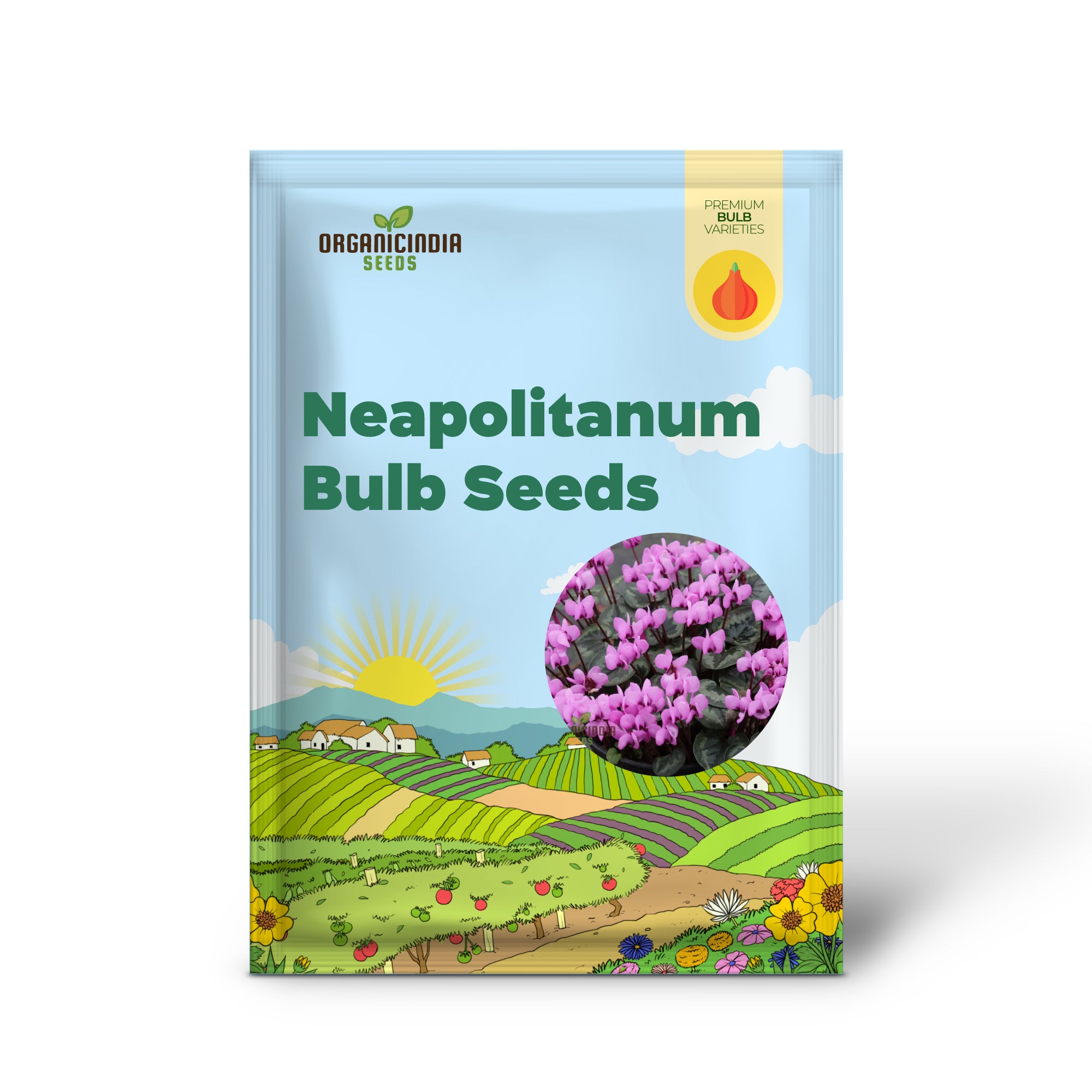 Cyclamen Neapolitanum Bulb Seeds, Cultivating Grace and Elegance in Your Garden with Expert Bulb Planting and Gardening