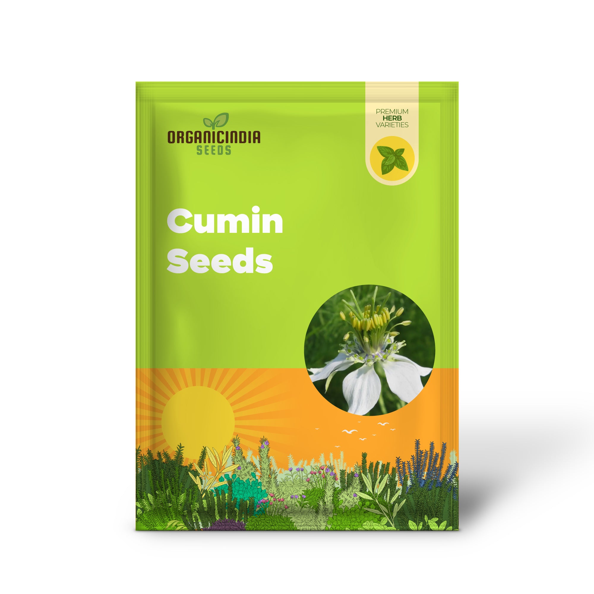 Cumin Seeds for Planting - Organic Gardening Essentials for Robust Harvests