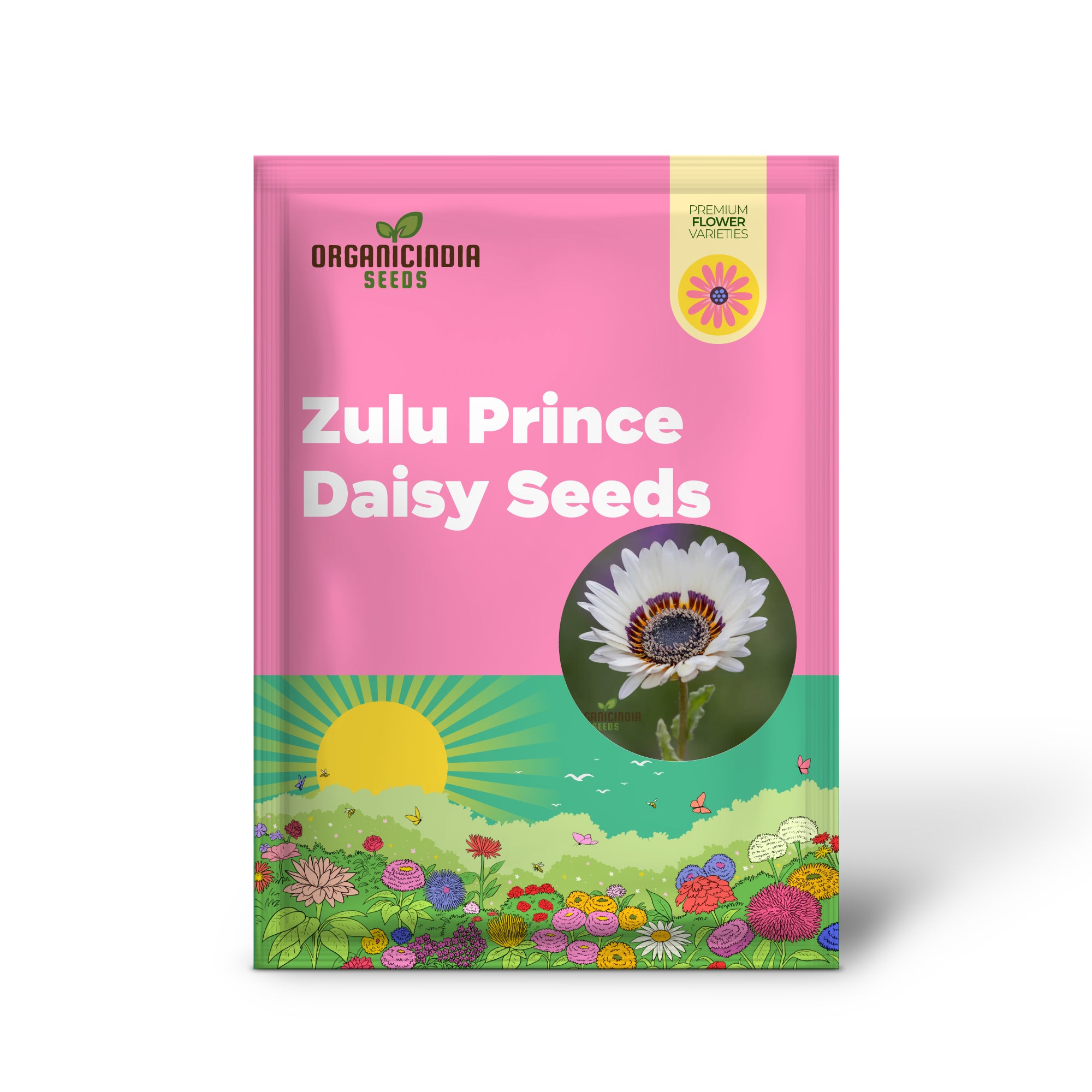 Zulu Prince Daisy Seeds - Grow Majestic Zulu Prince Daisies for a Royal Garden Display