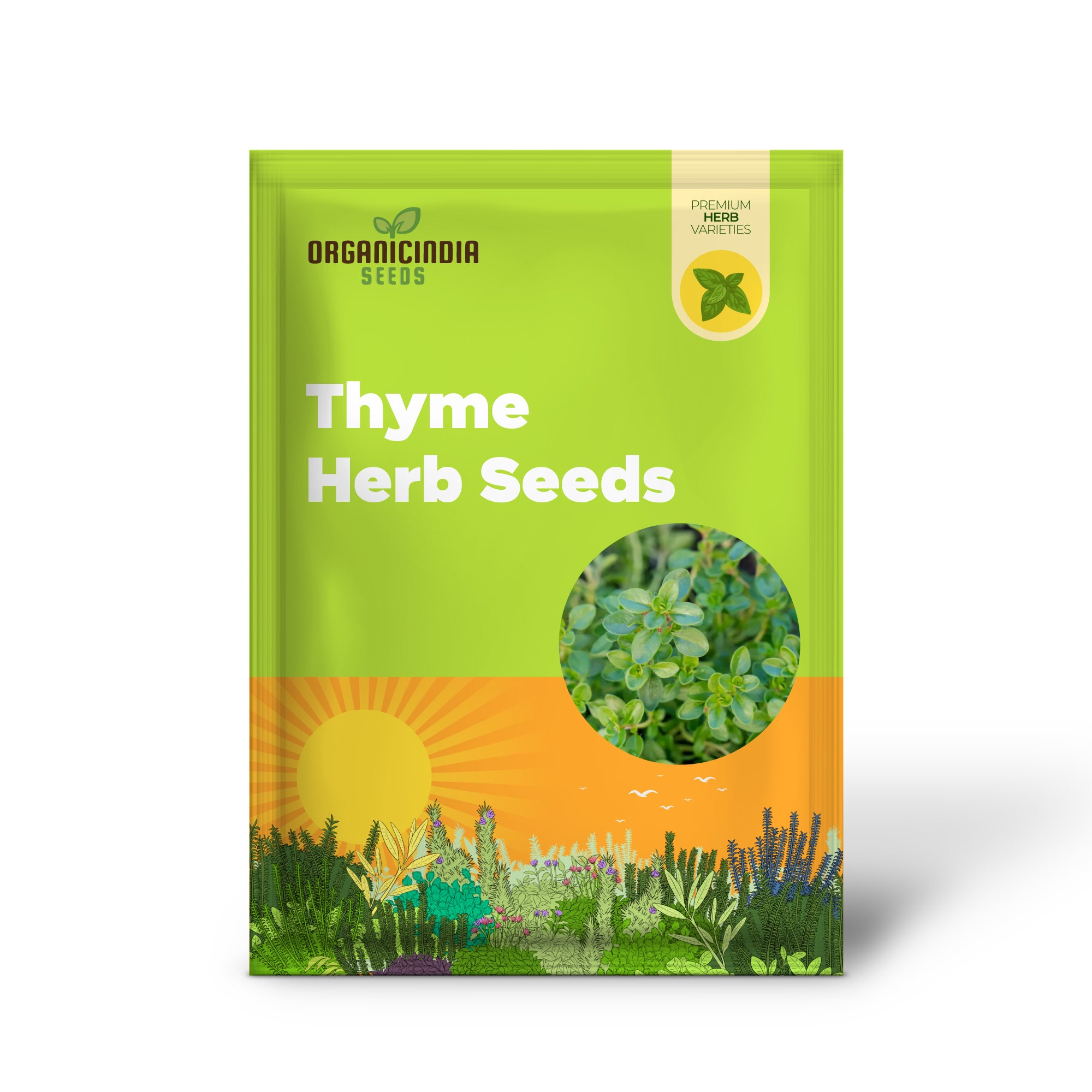 Graines de thym à planter Cultivez des plantes aromatiques avec nos graines de thym de haute qualité, sans OGM