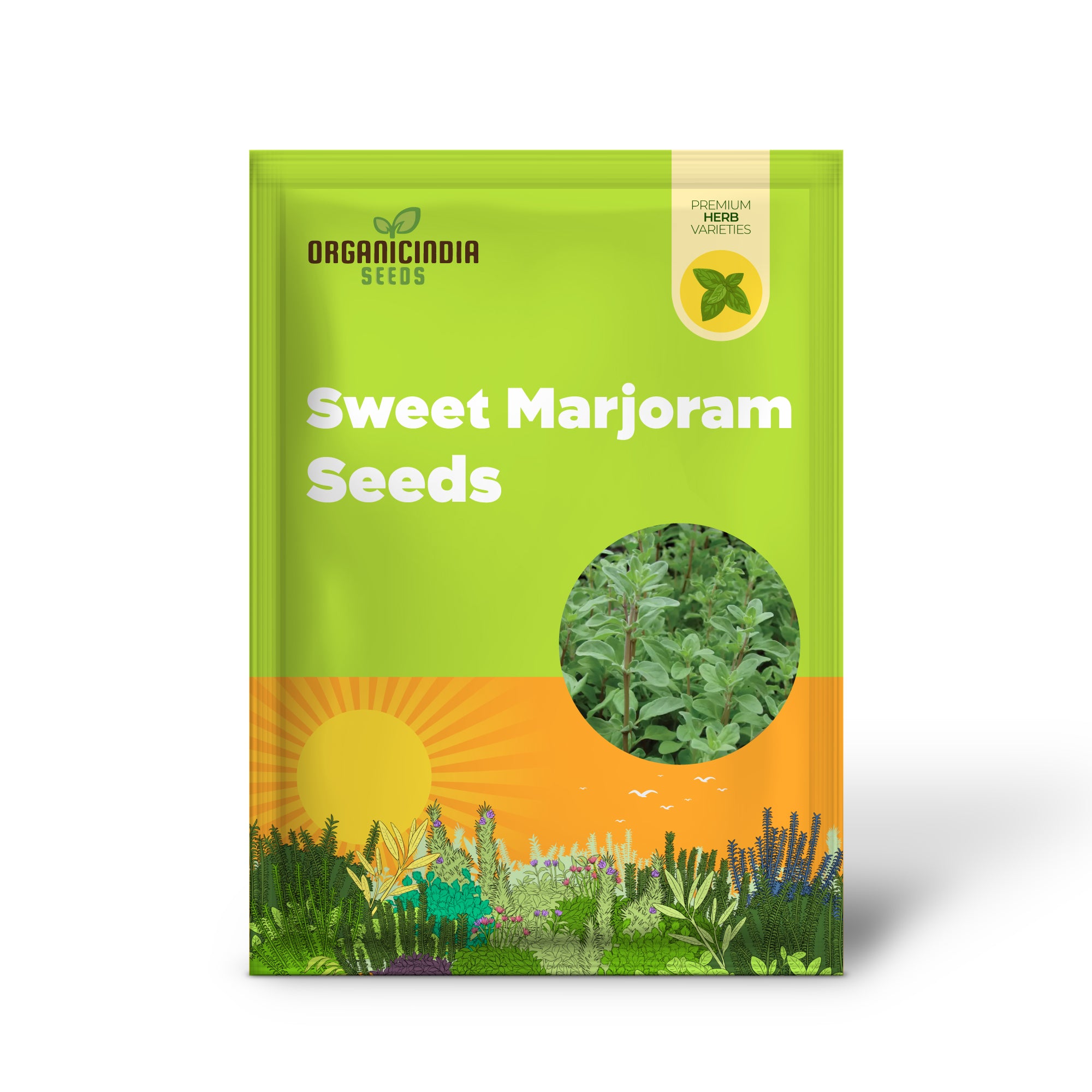 Sweet Marjoram Seeds for Planting - Prescott Fond Blanc Variety - Ideal for Gardening Enthusiasts Seeking Quality and Flavor