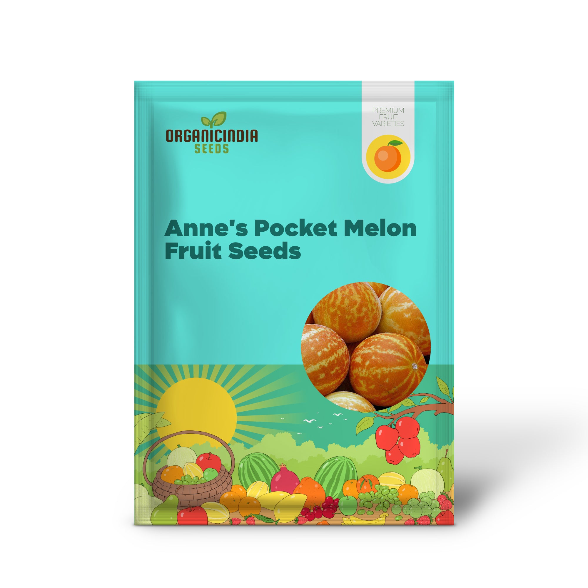 Anne's Pocket Melon Seeds For Planting - Prescott Fond Blanc: Exquisite Gardening Delights Await You!