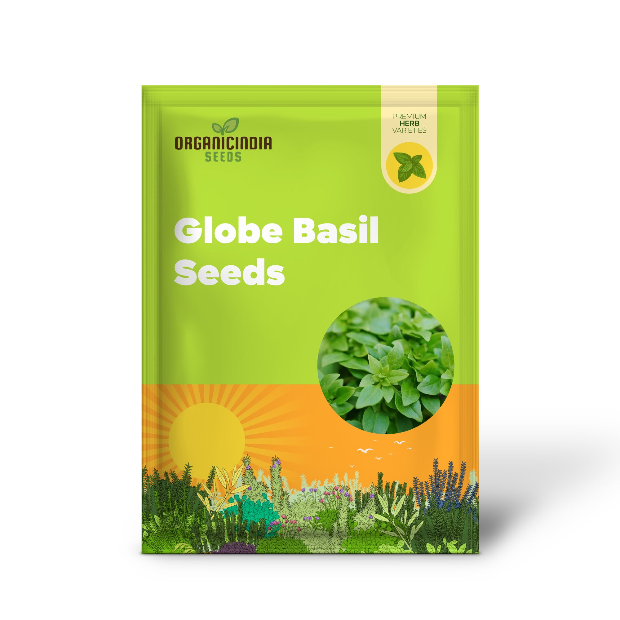 Globe Basil Seeds For planting: Fresh Herbs for Flavorful Delights and Culinary Creations