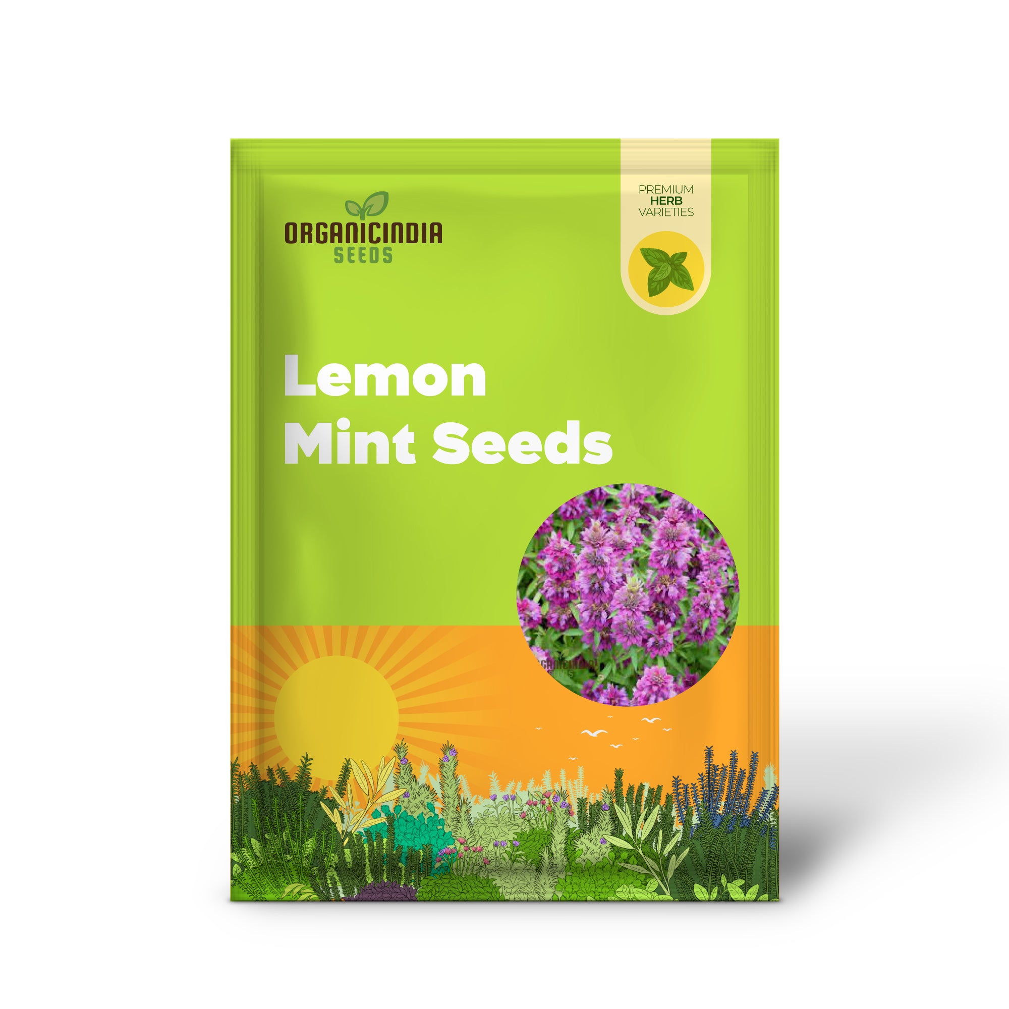 Lemon Mint Seeds for Planting | Fragrant Herb Gardening | Grow Fresh Lemon Mint at Home