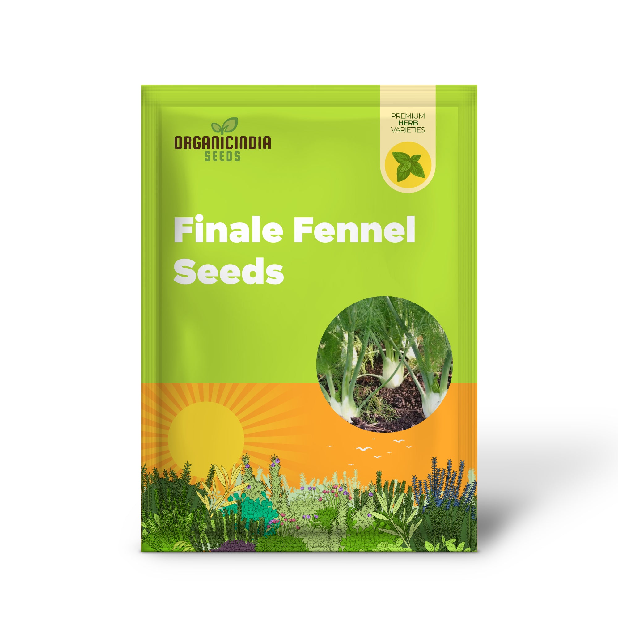 Organic Finale Fennel Seeds for Gardening Enthusiasts | Premium Herb Seed Variety