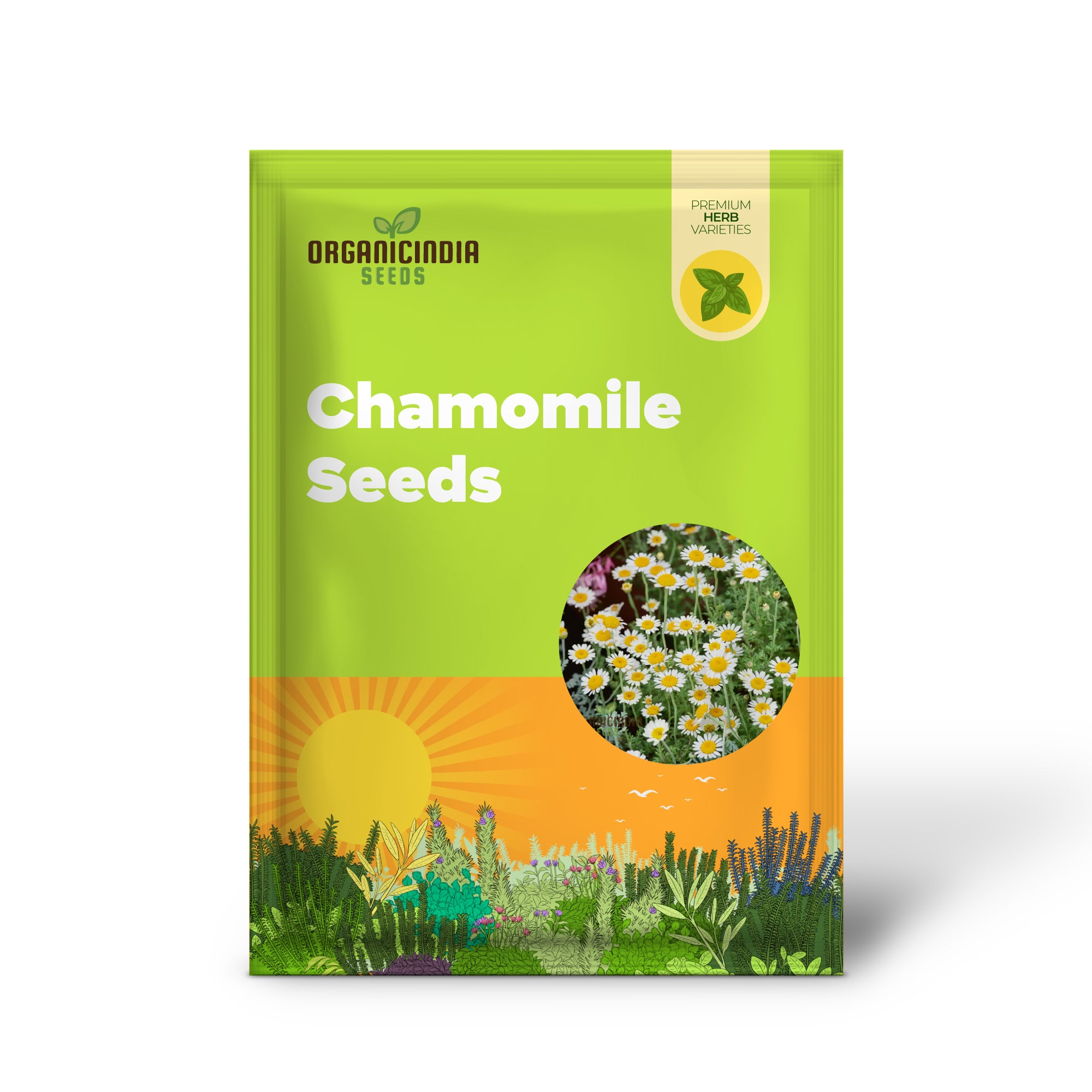 German Chamomile Seeds for Serene Gardens: Exquisite Blooms and Soothing Aromas Await