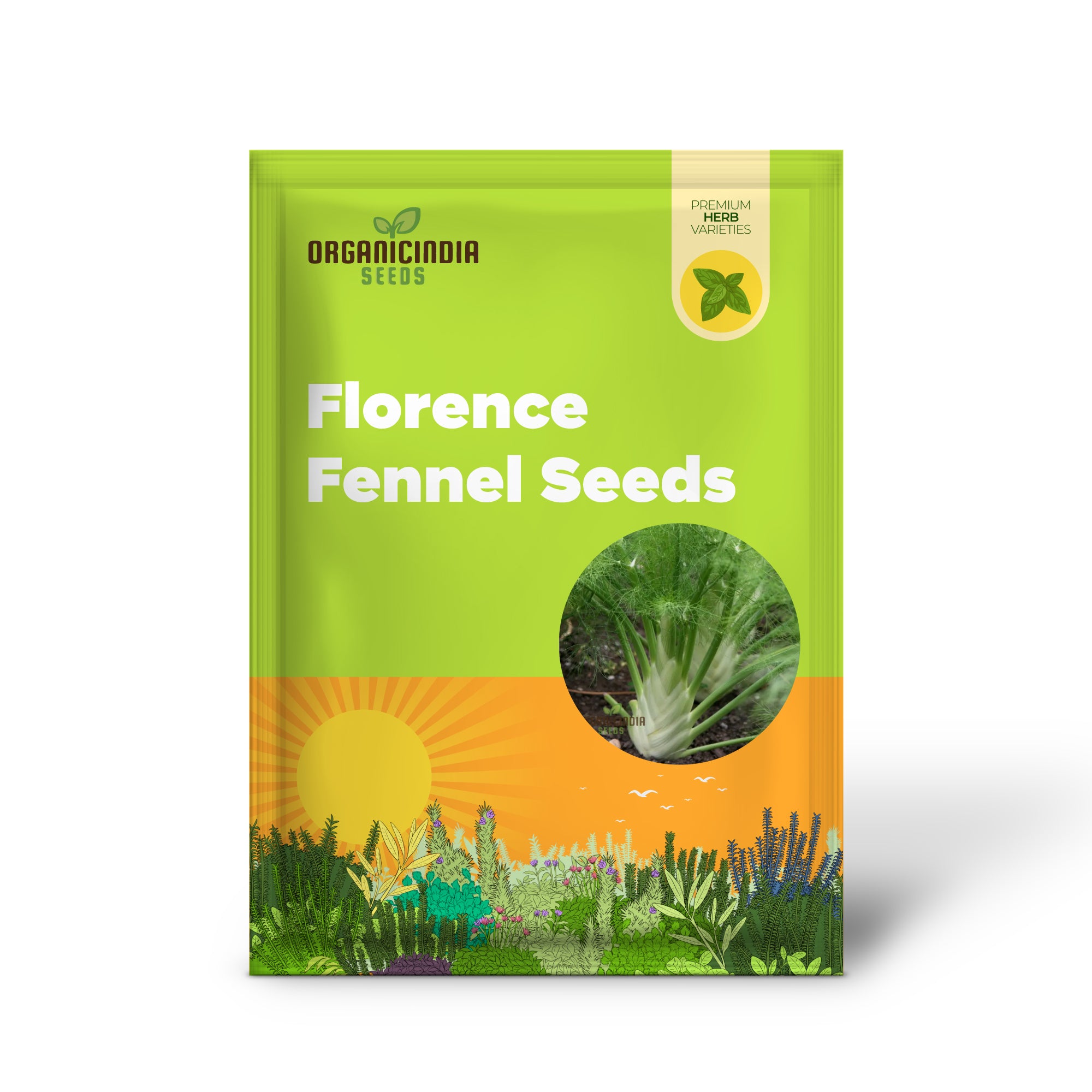 Premium Florence Fennel Seeds: Grow Your Own Fresh Bulbs | Gardening Essentials