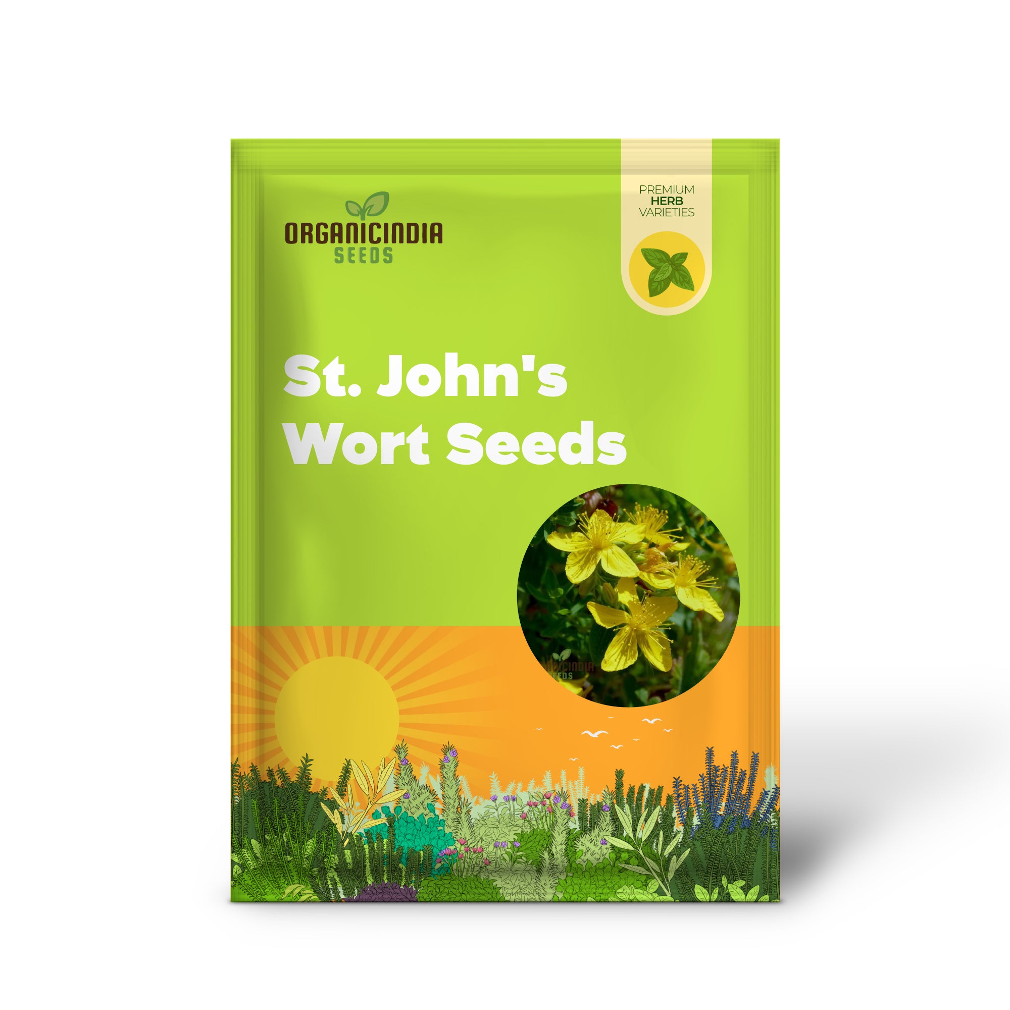 St. John's Wort Seeds for Planting - Perfect for Home Gardens and Herbal Gardens