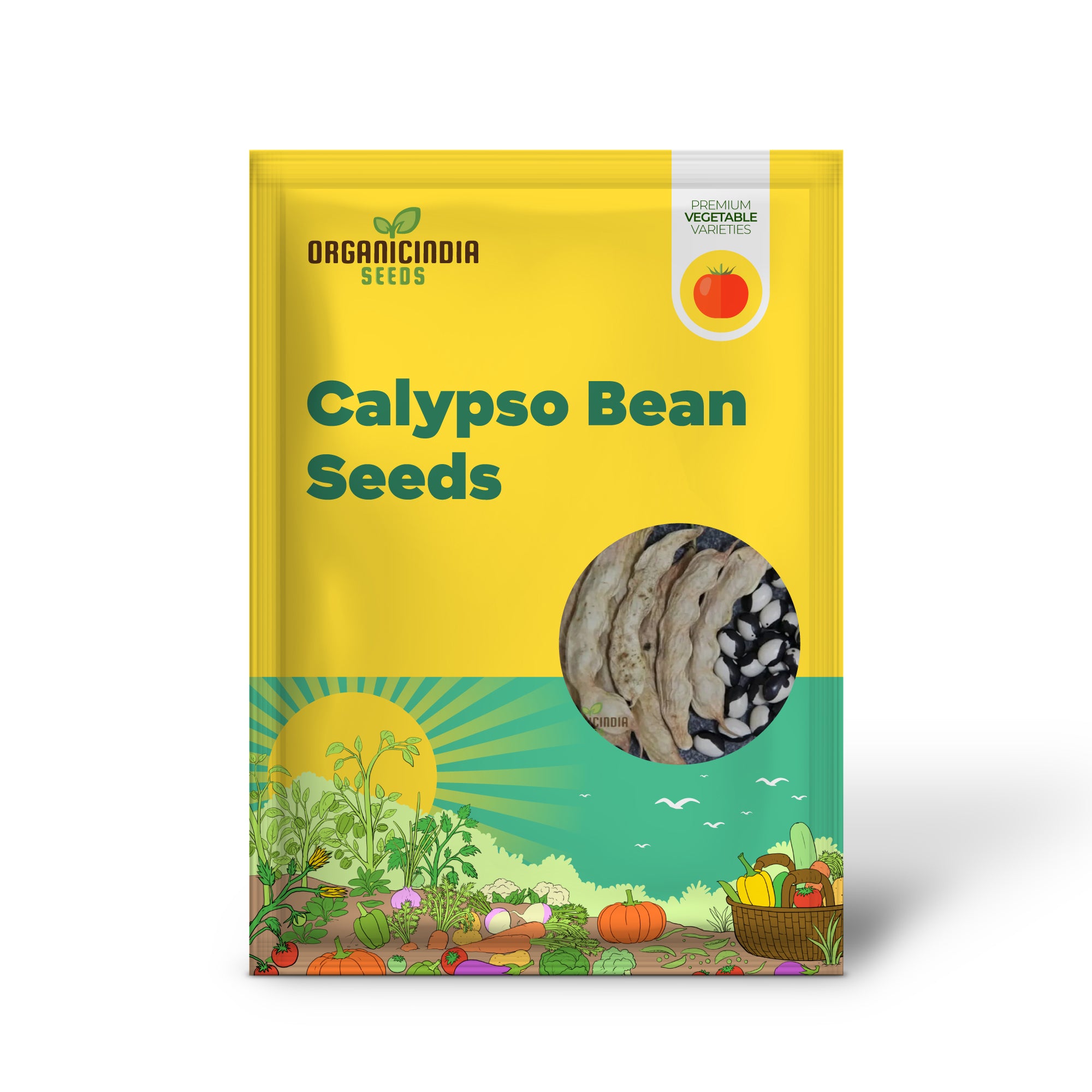 Calypso Bean Seeds For planting: Premium Heirloom Gardening Delight for Your Bountiful Harvest