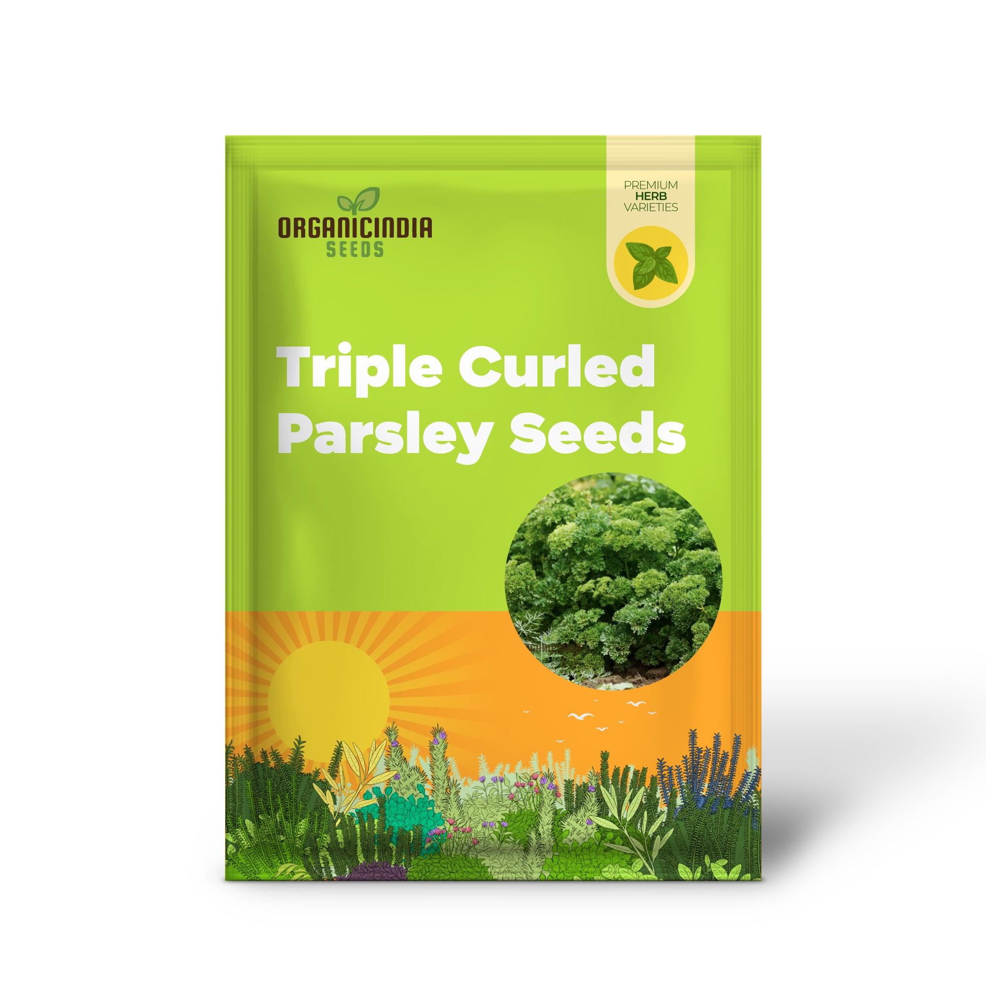 Organic Triple Curled Parsley: Your Essential Garden Companion for Fresh Culinary Delights and Lush Greenery