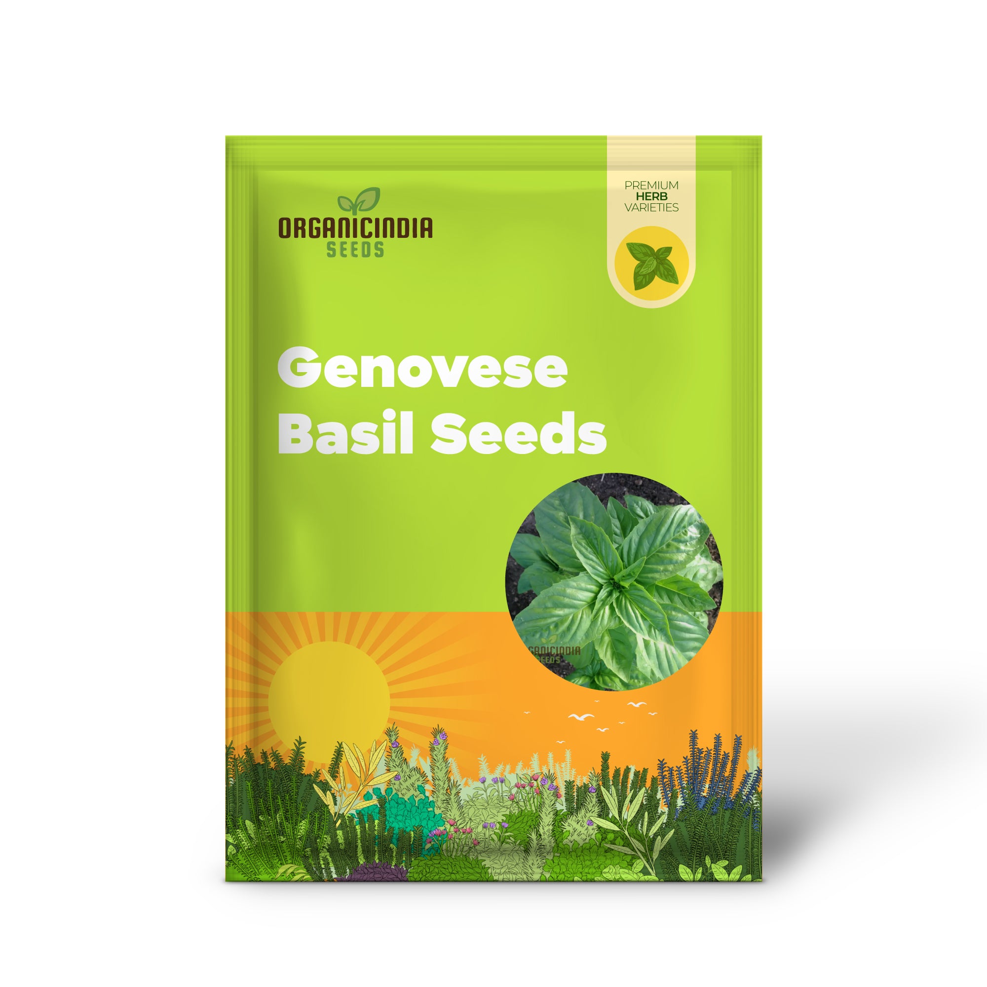 Genovese Basil - Premium Heirloom Seeds for Lush Herb Gardens | Grow Your Own Aromatic Basil Plants for Culinary Delights and Home Gardening Enthusiasts