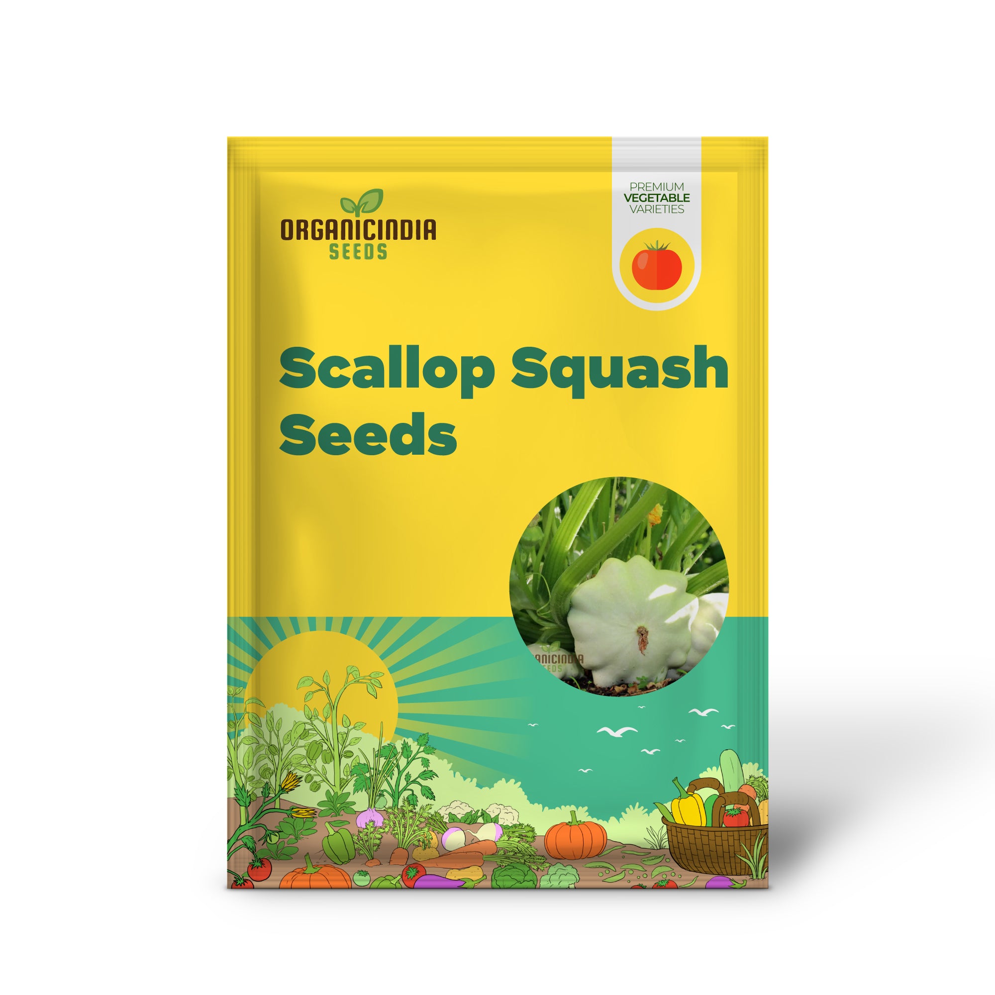 Green Tint Bush Scallop Squash: Ideal for Garden Enthusiasts