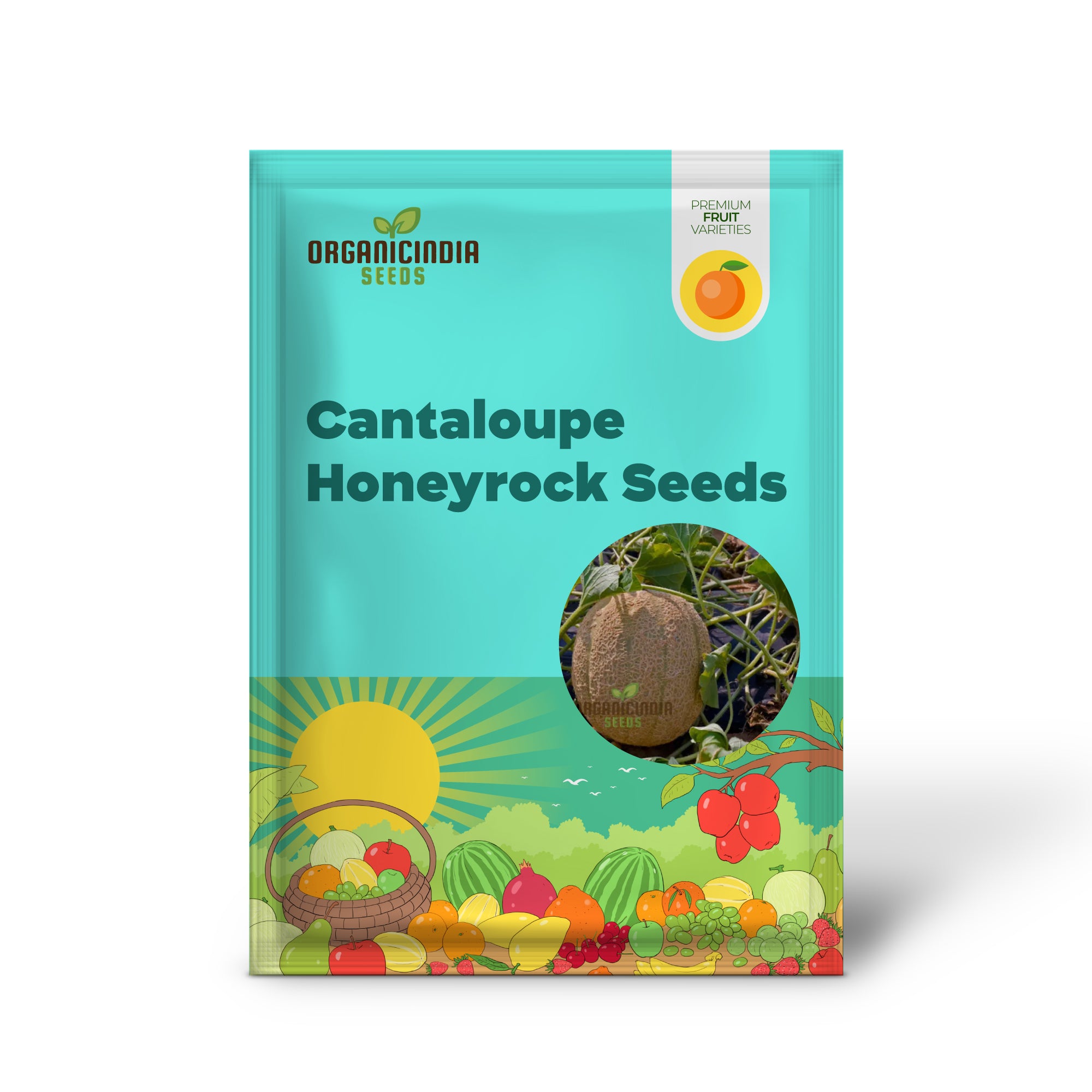 Cantaloupe Honeyrock Vegetable Seeds for Expert Gardeners | High-Yield, Flavorful Melons | Non-GMO, Heirloom Variety for Thriving Gardens