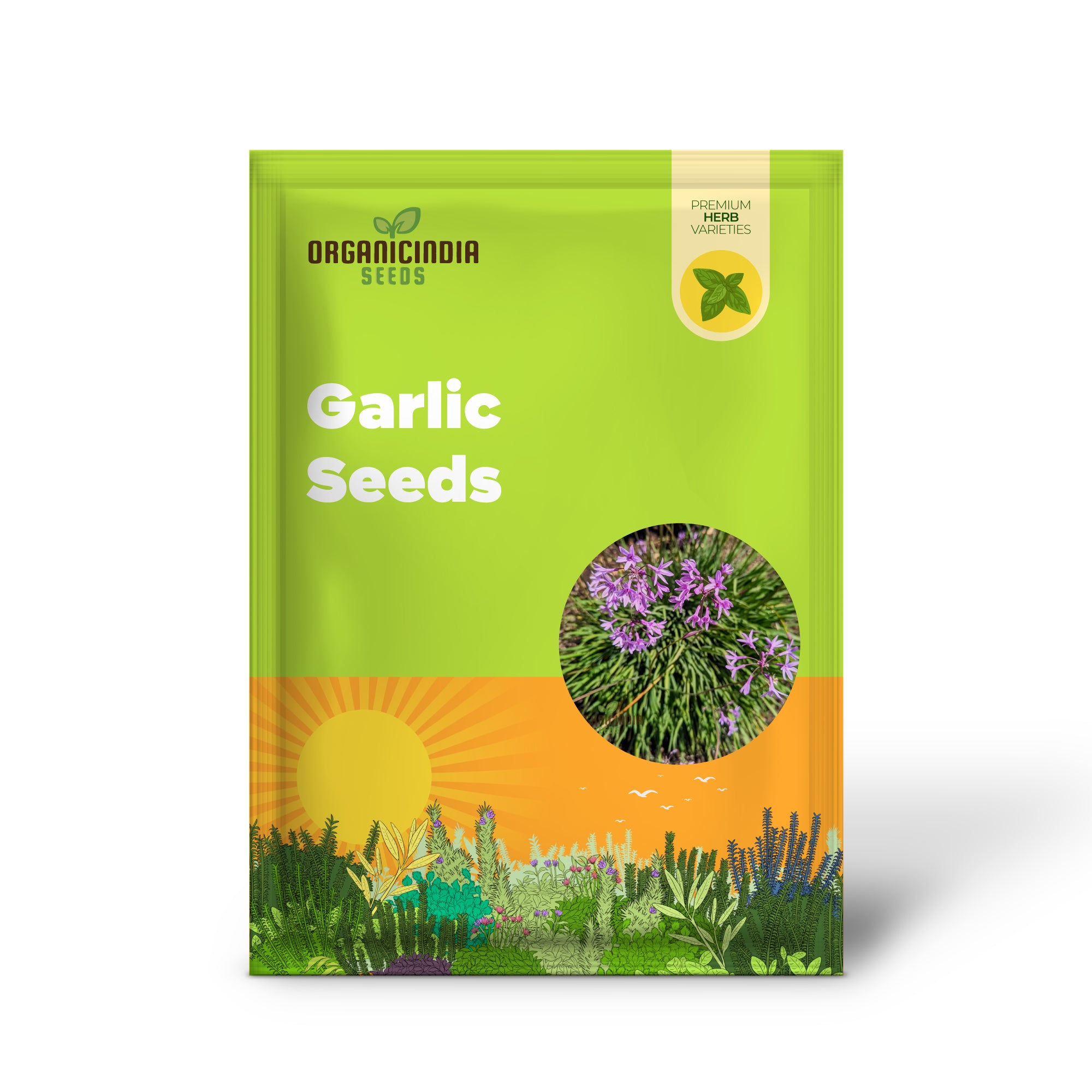 Society Garlic Seeds for Planting, High-Quality Seeds for Gardeners, Grow Your Garden