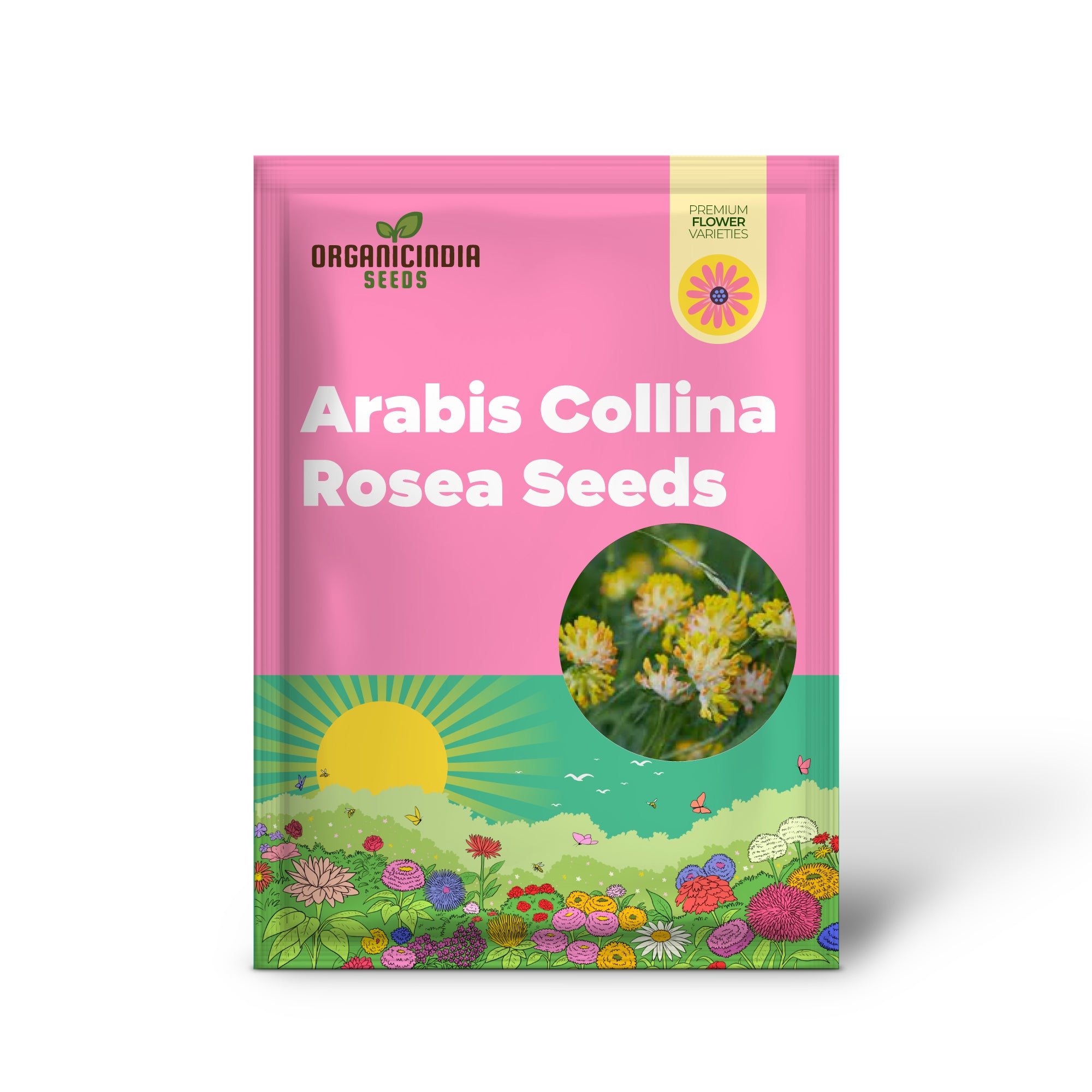 Transformez votre jardin avec Arabis Collina Rosea : la plante couvre-sol vivace idéale pour une floraison printanière éclatante