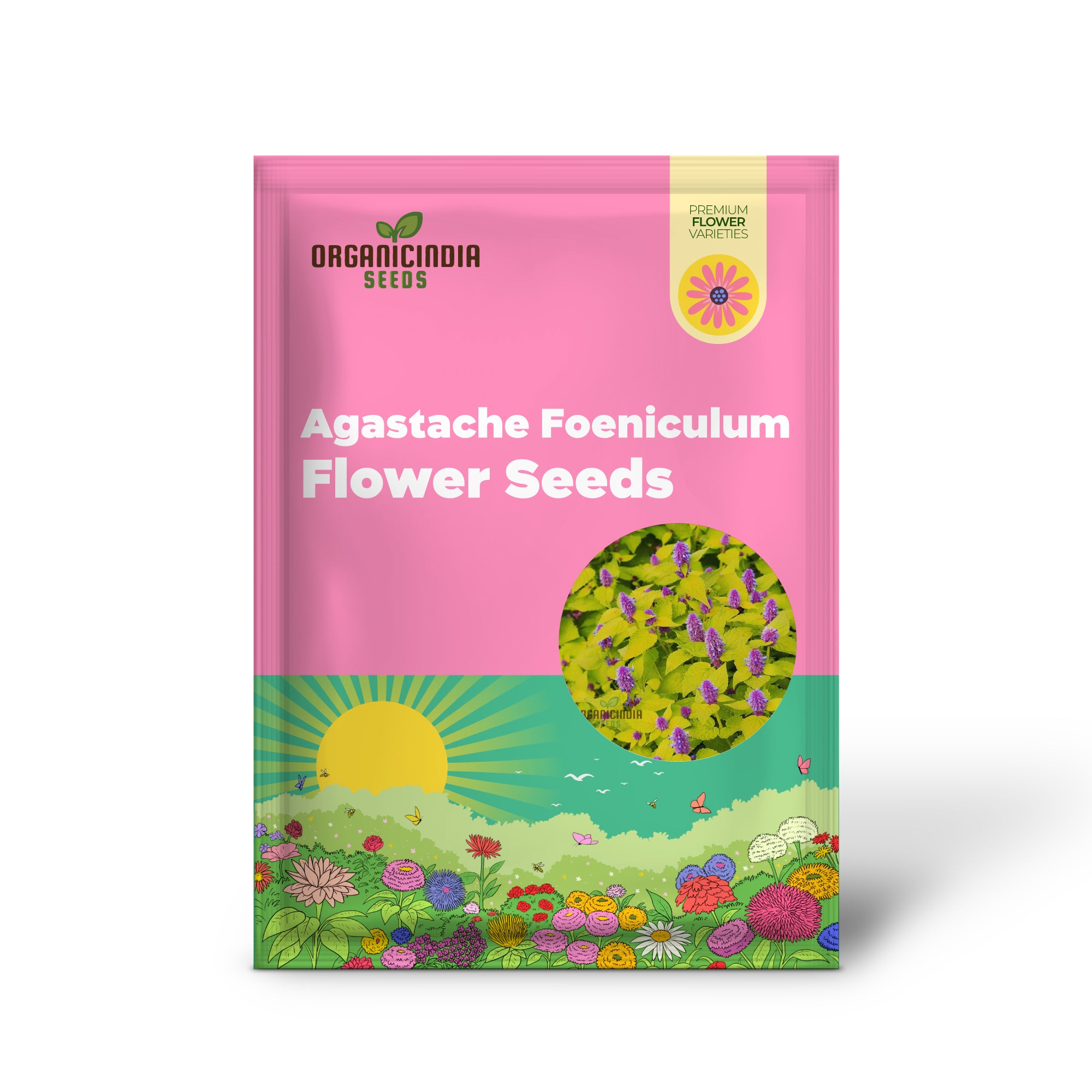 Agastache Foeniculum 'Golden Jubilee' Flower Seeds, Elevate Your Garden with Vibrant Blooms Using Expert Planting and Gardening Techniques