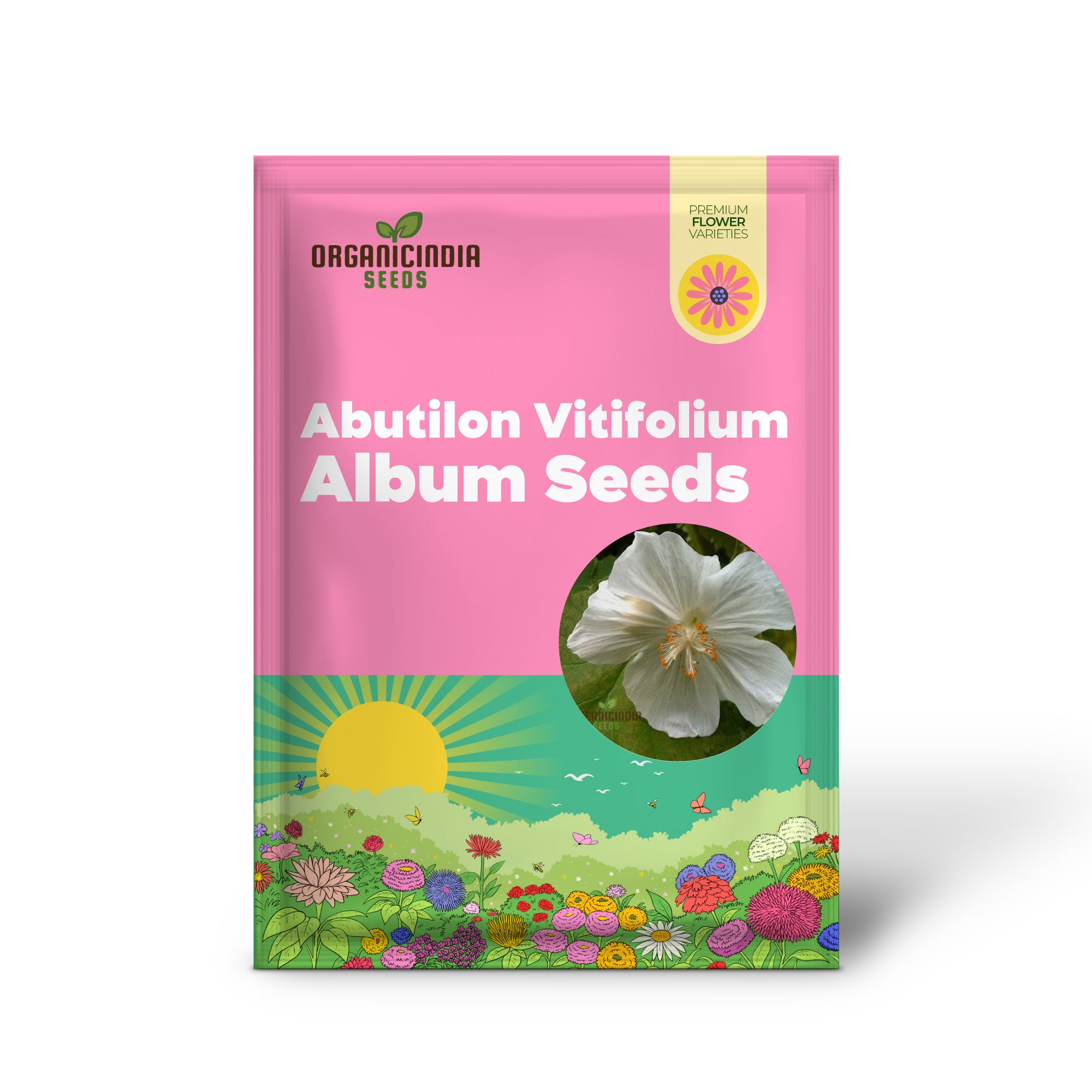 Abutilon Vitifolium Album-Samen, verschönern Sie Ihren Garten mit eleganten weißen Blüten