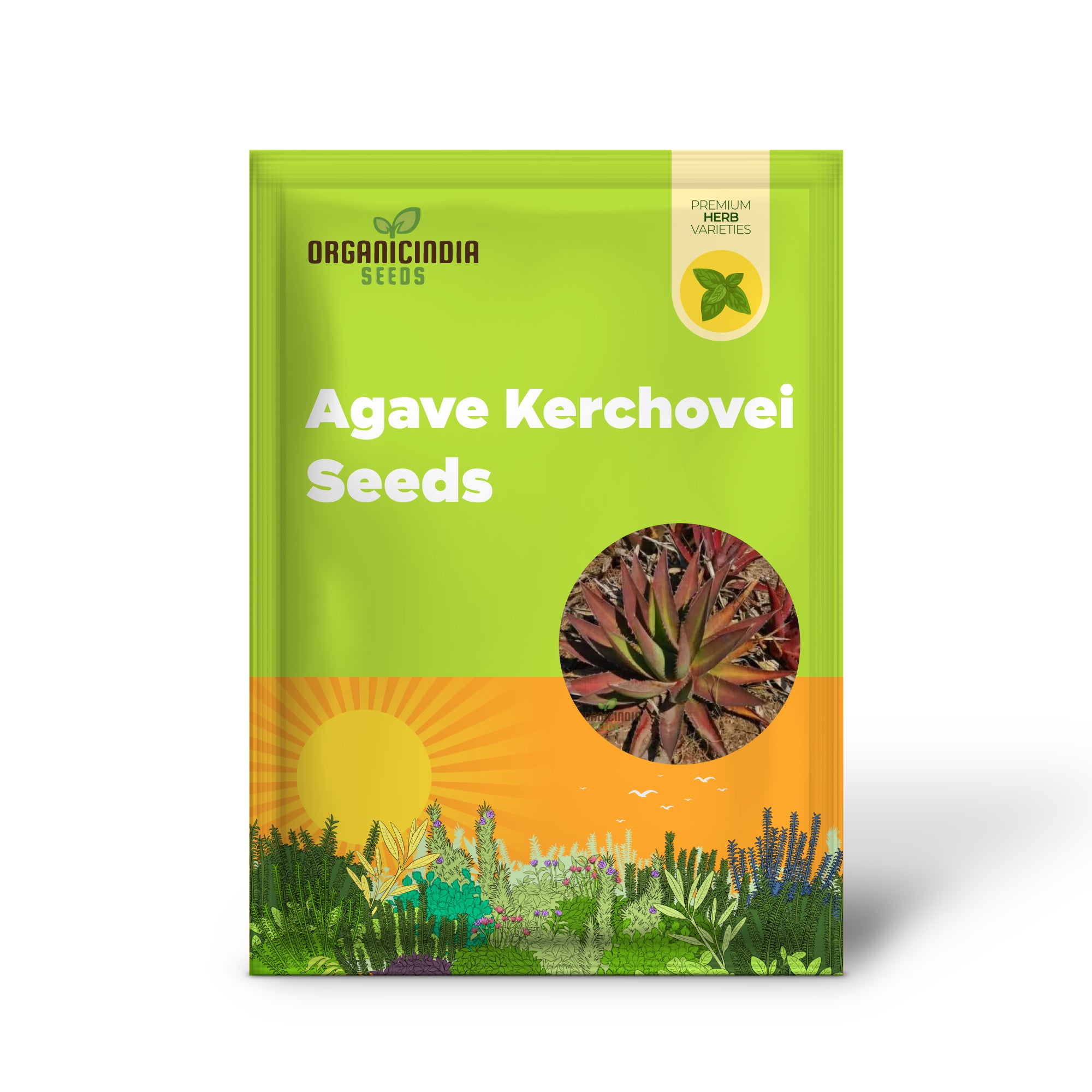 Agave kerchovei 'Huajuapan Red' Seeds for Planting, Cultivating Unique Beauty with Expert Planting and Gardening