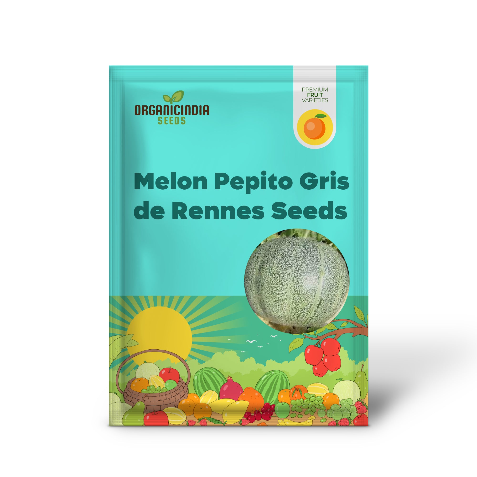 Melon Petit Gris de Rennes Seeds for Your Bountiful Garden