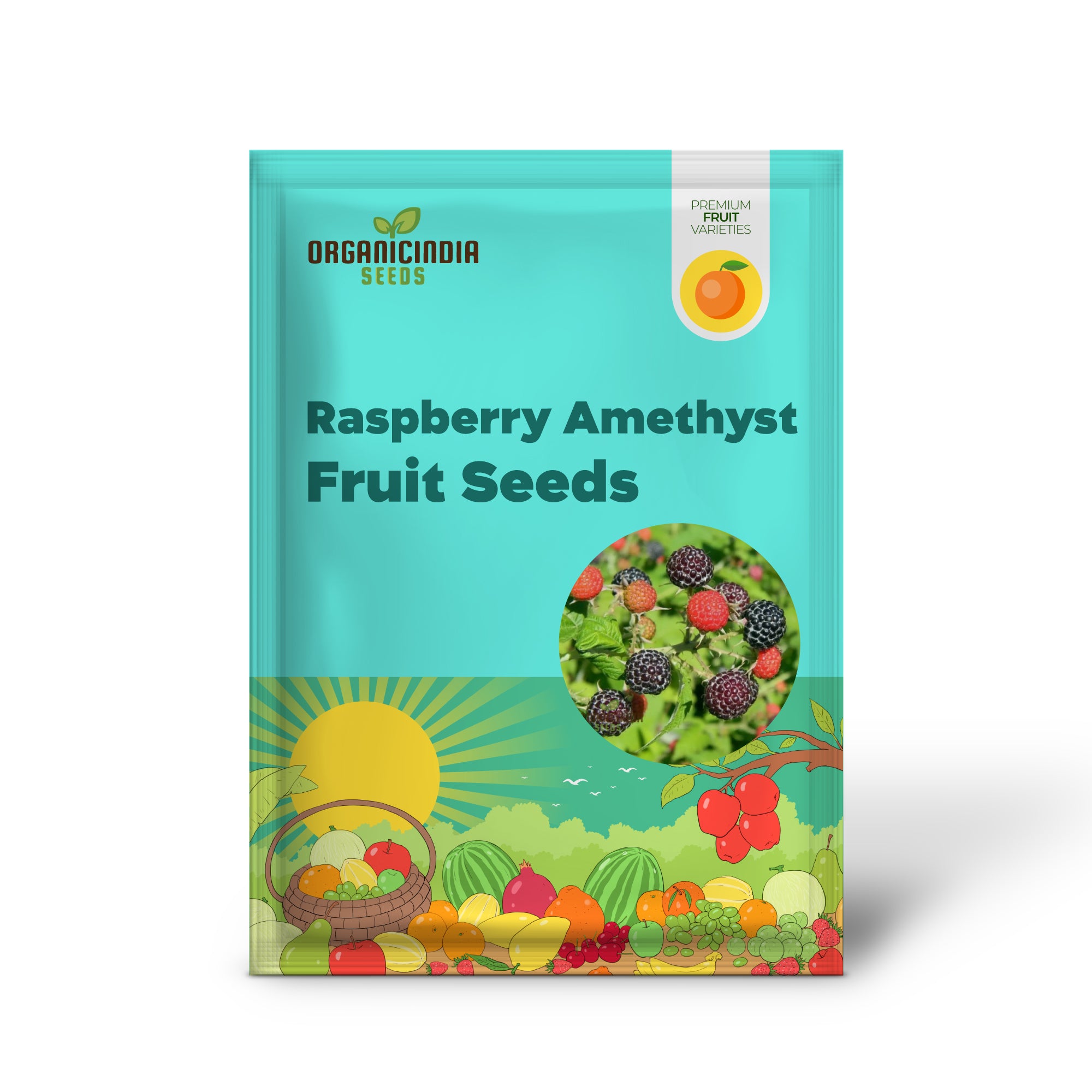 RASPBERRY AMETHYST Fruit Seeds for Planting for Your Gardening Adventures