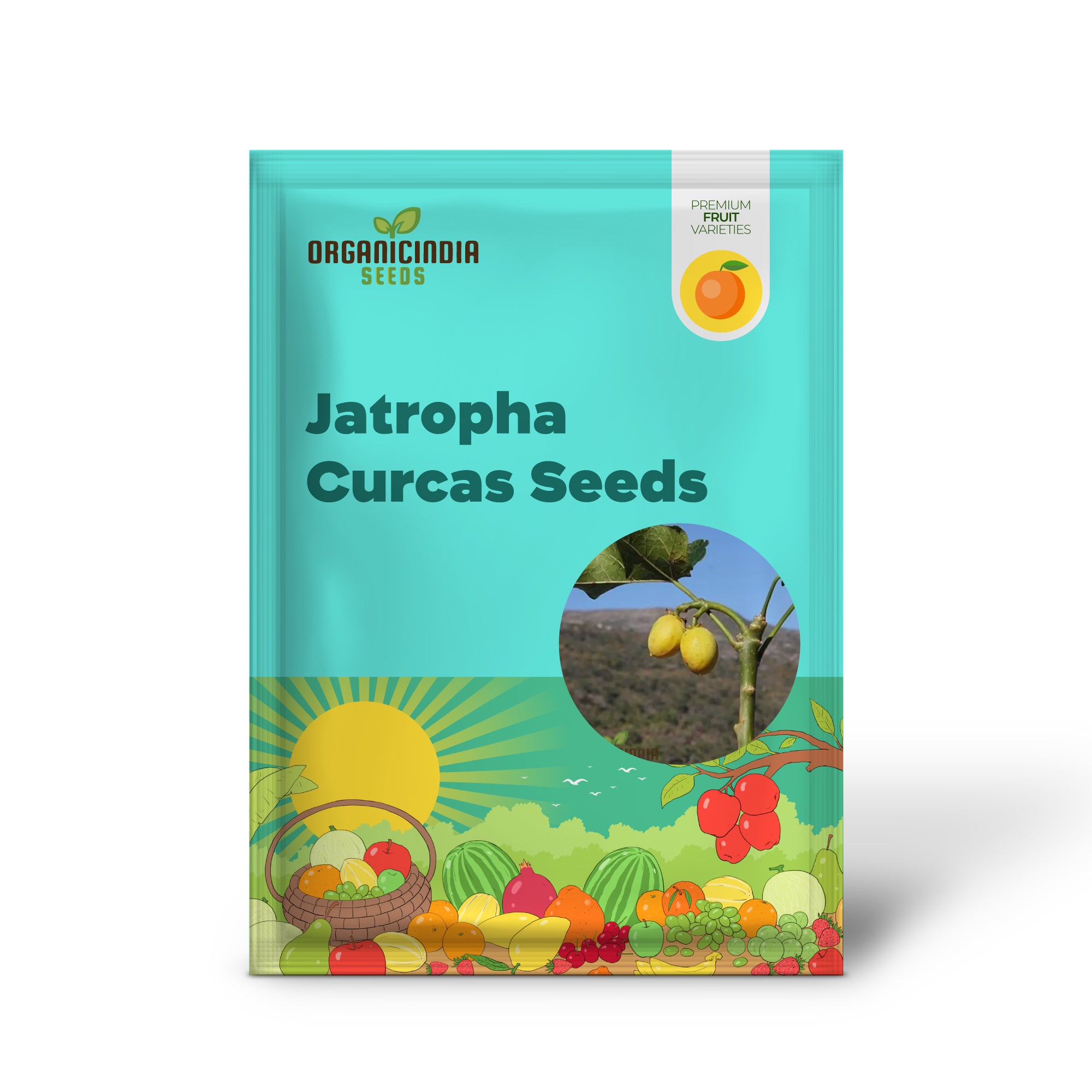 Jatropha Curcas Seeds: Grow Exotic Beauty and Sustainability in Your Gardening Journey!