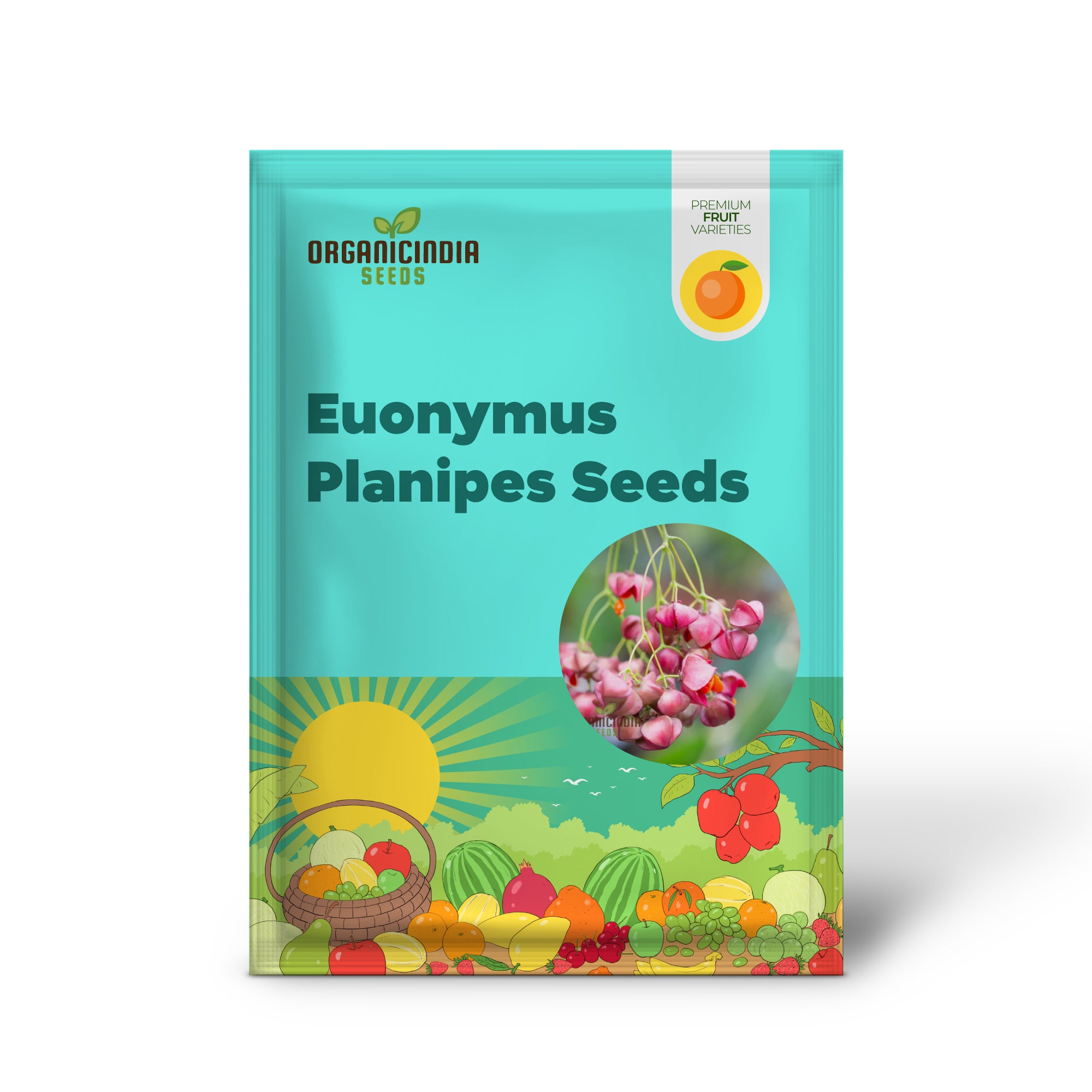 Euonymus Planipes Seeds for Planting - Hardy Shrub for Vibrant Planting