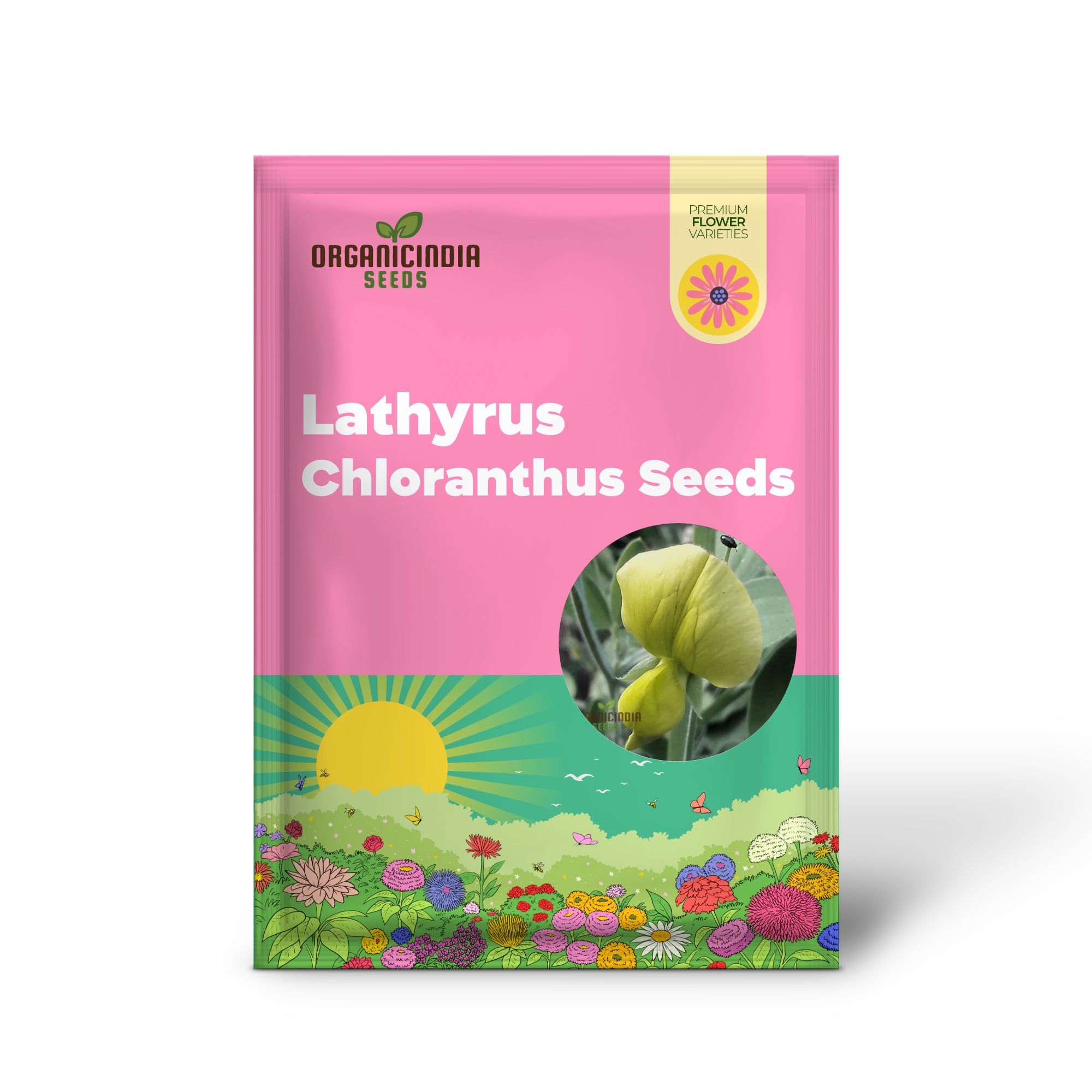 Lathyrus Chloranthus-Samen bereichern Ihr Gartenerlebnis mit einzigartigen, atemberaubenden Blüten!