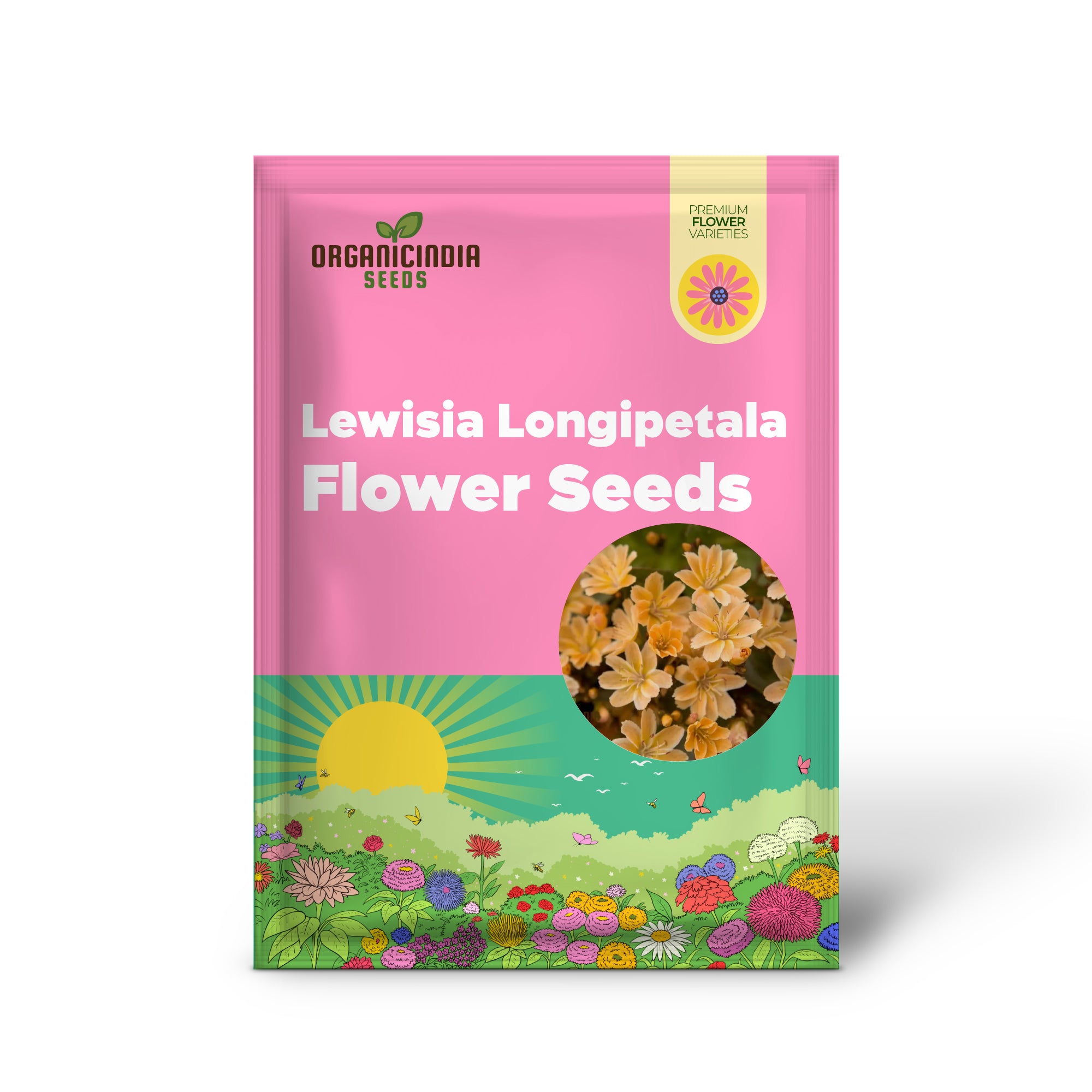 Graines de Lewisia Longipetala 'Little Mango' – Cultivez une beauté vibrante et des floraisons durables dans votre jardin !