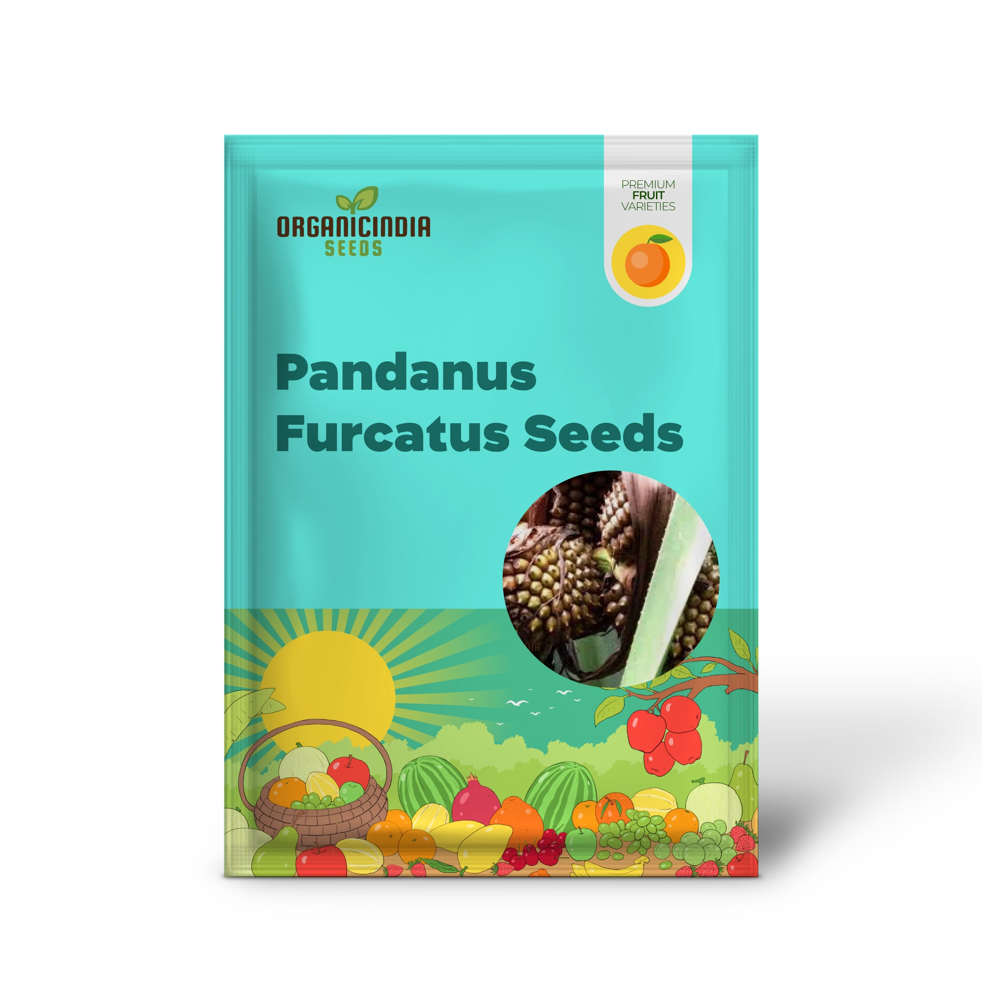 Pandanus Furcatus Seeds for Exotic Gardening Enthusiasts - Grow Your Own Tropical Beauty at Home