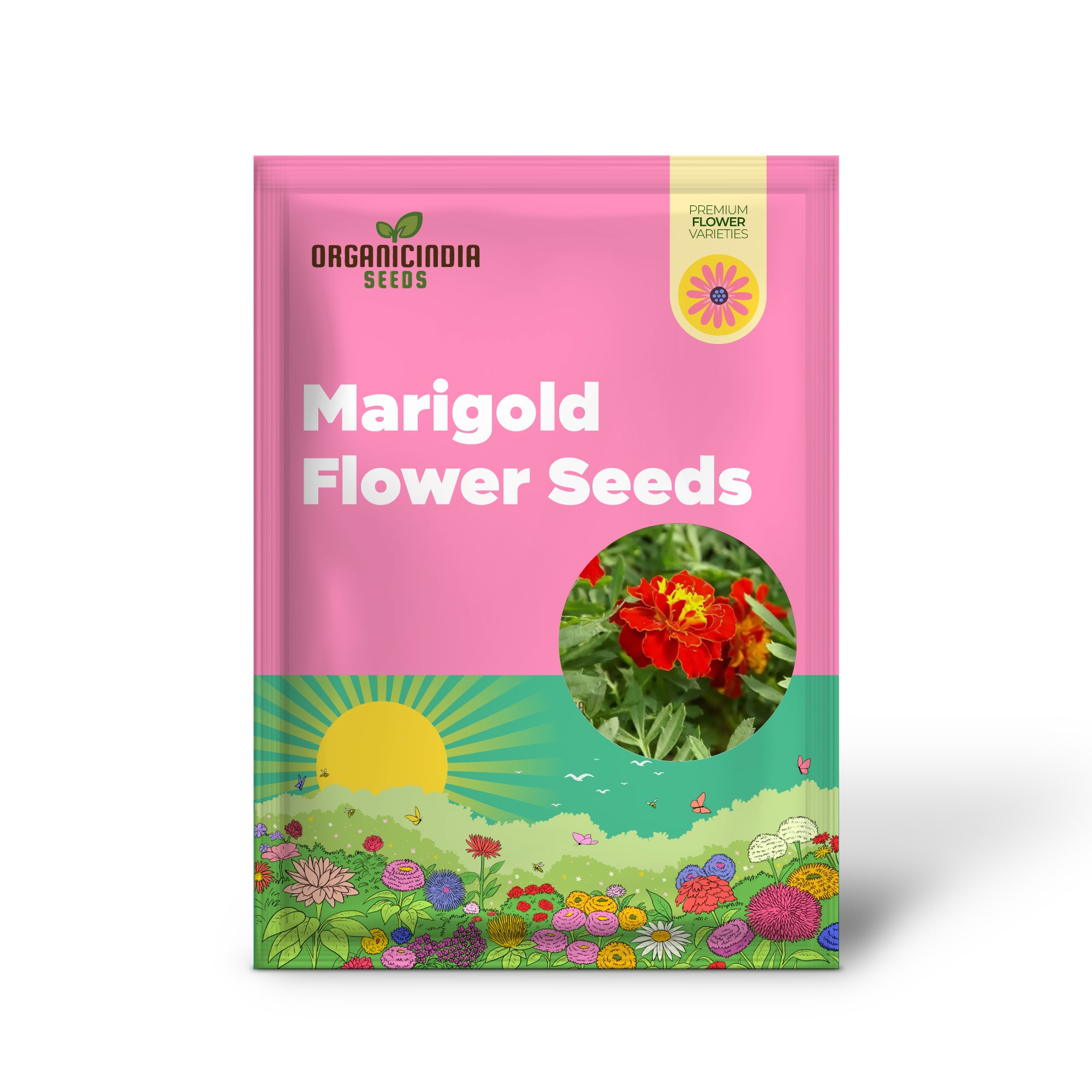 Graines de fleurs de souci vibrantes « Safari Red » pour votre jardin, graines de qualité supérieure pour le jardinage