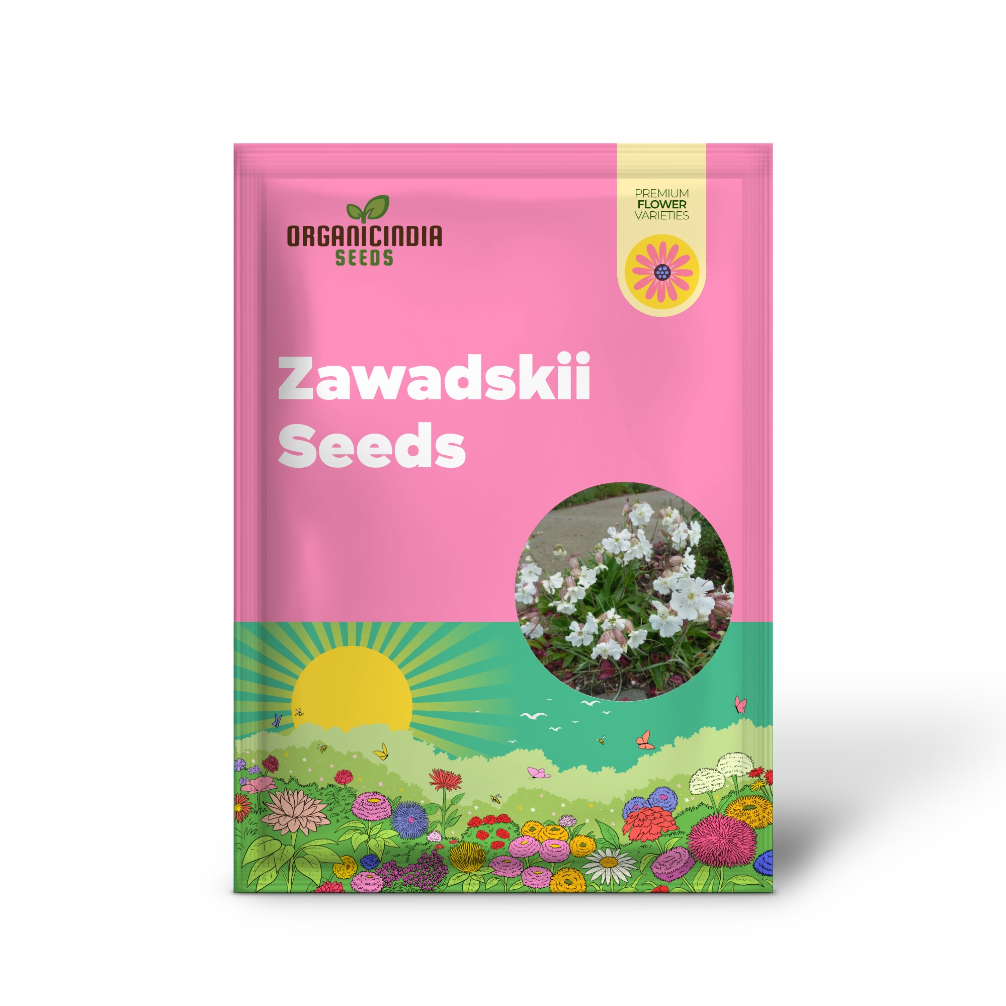 Silene Zawadskii Seeds - Premium Quality for Planting and Cultivating Beautiful Blooms