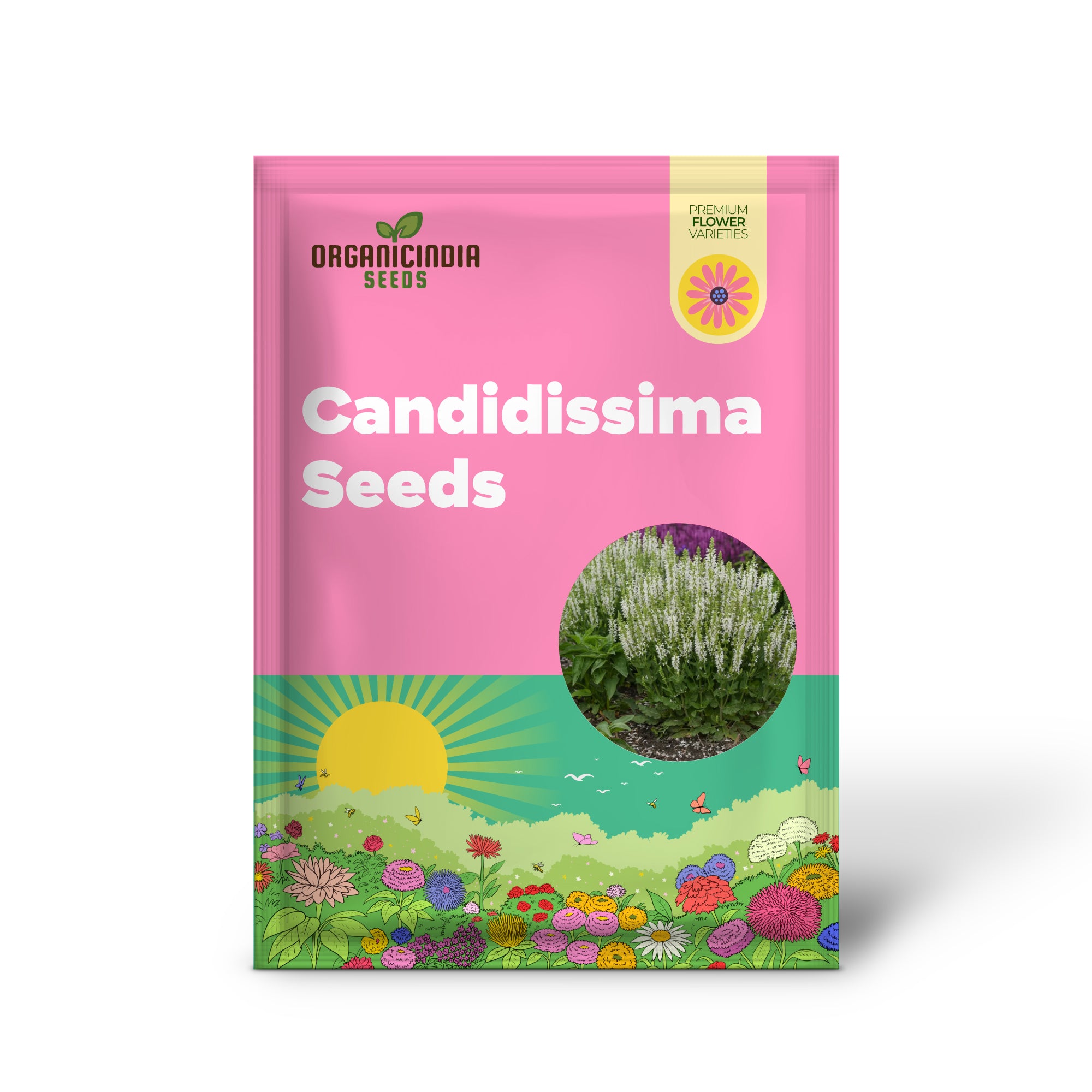 Salvia Candidissima Seeds - Premium Quality for Gardening Enthusiasts | Lengthy Blooming Season | Organic and Easy-to-Grow