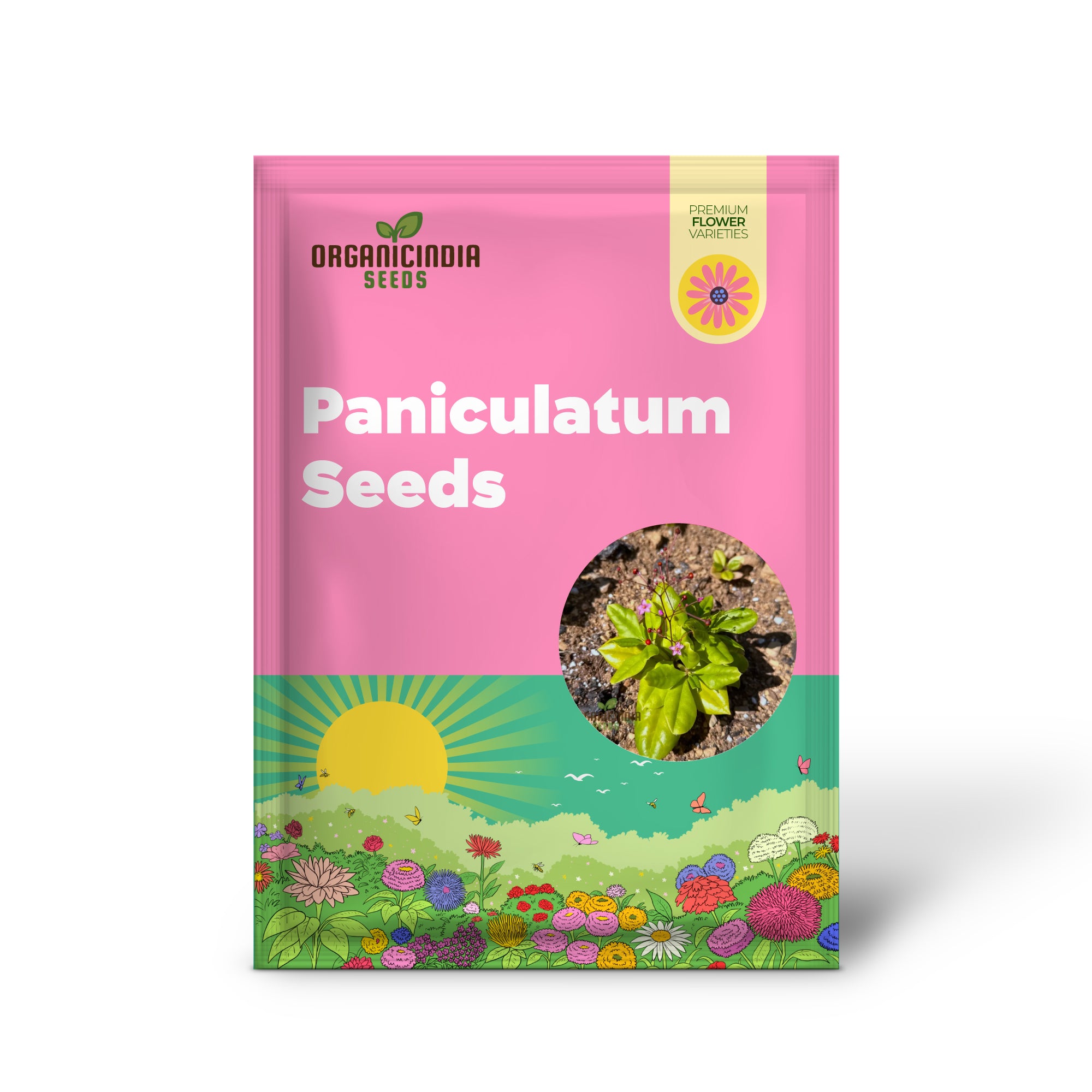 Talinum paniculatum 'Jewels of Opar' Seeds – Elevate Your Gardening with Delicate Beauty and Sustainable Growth!