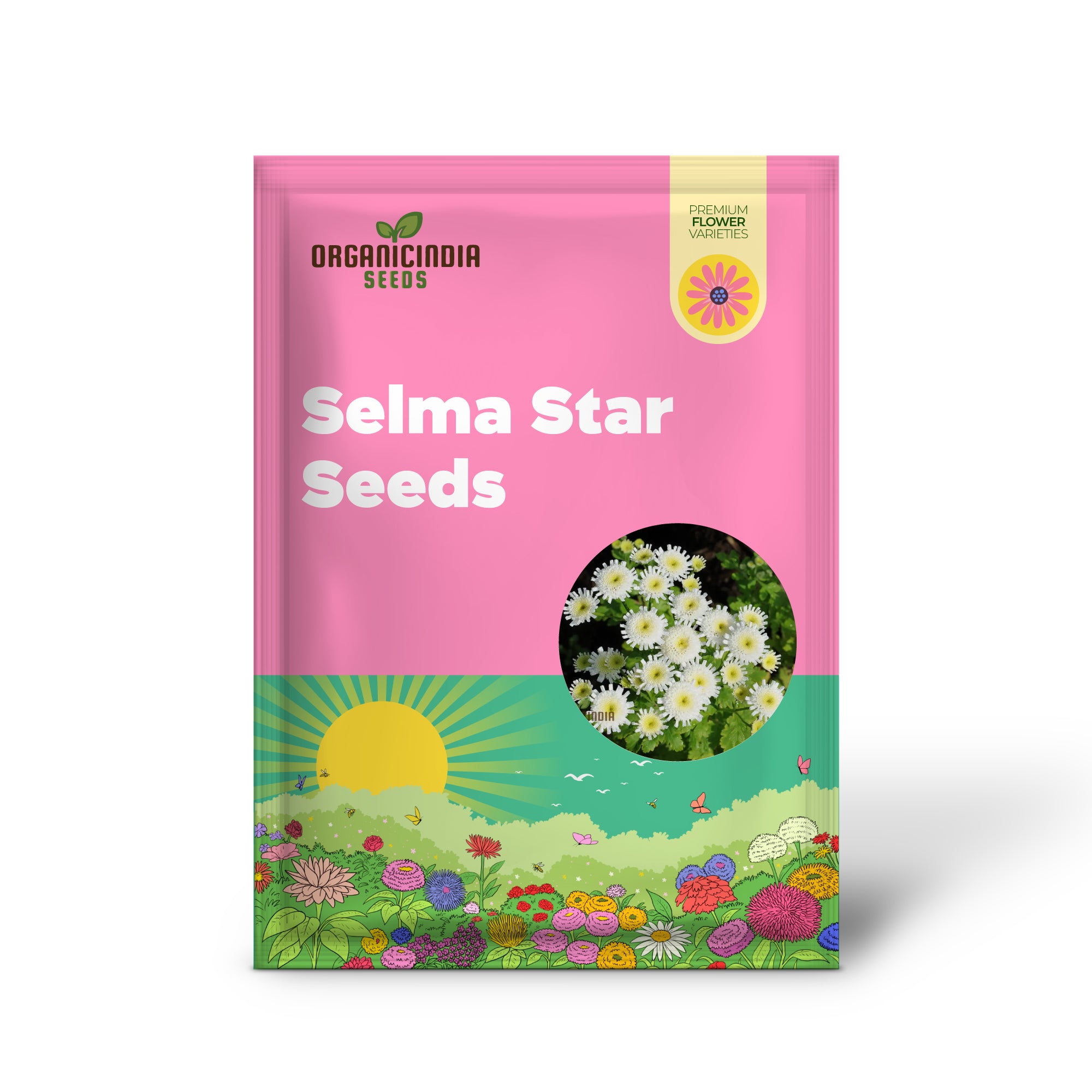 Tanacetum Parthenium „Selma Star“-Samen – Erweitern Sie Ihr Gartenerlebnis mit spektakulären Blüten!