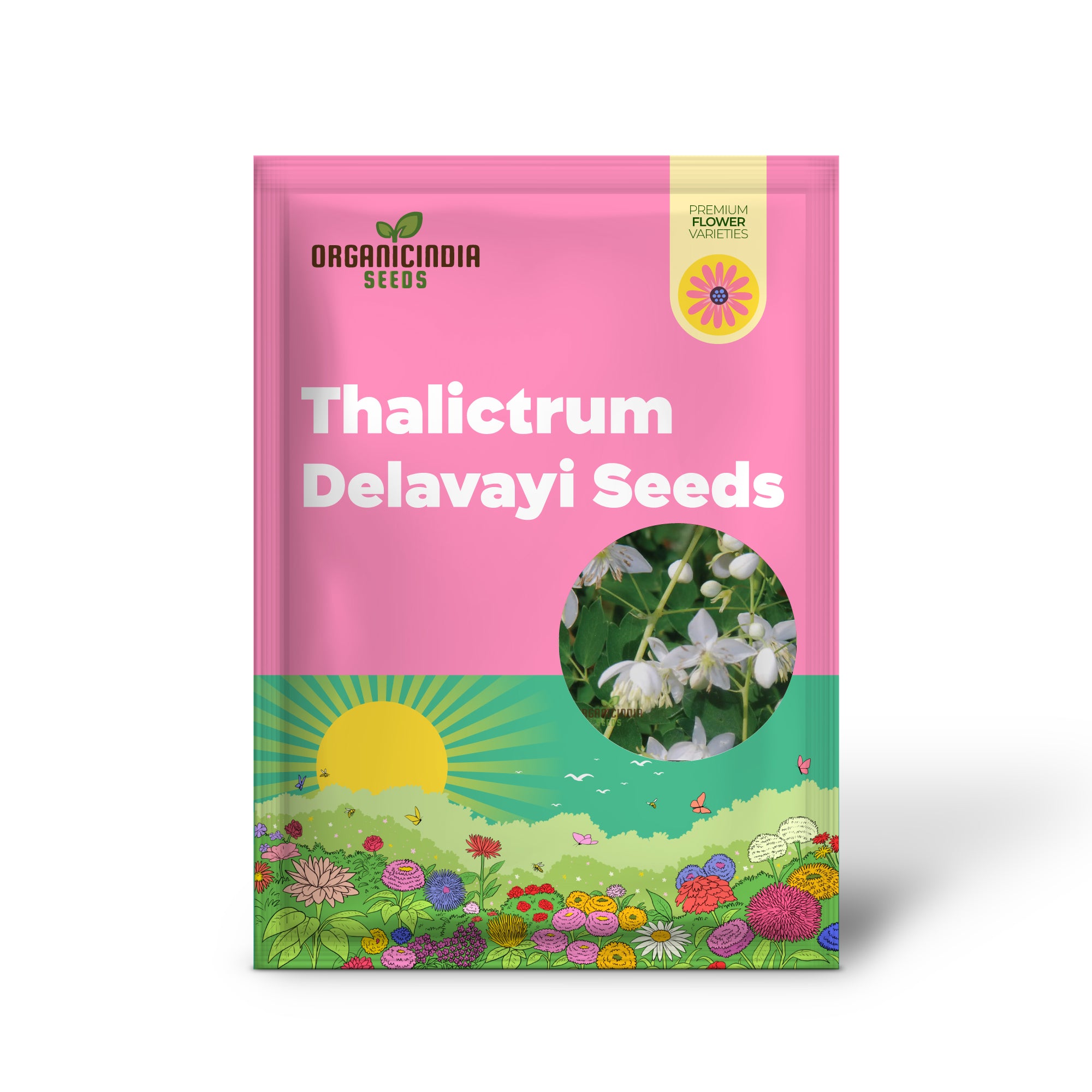 Graines de Thalictrum Delavayi 'Blizzard' – Cultivez la beauté et la grâce avec cet ajout exquis à votre collection de jardinage !