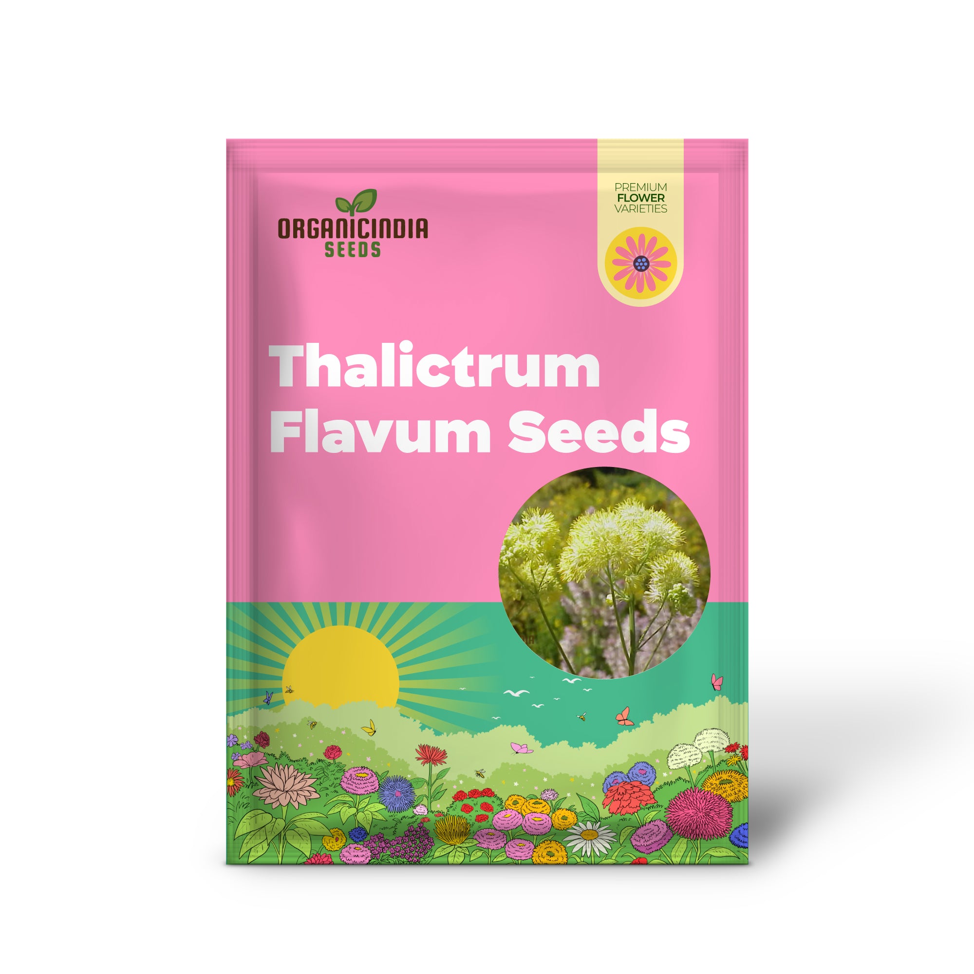 Thalictrum Flavum Samen - Hochwertige Gartensamen für leuchtend gelbe Blüten - Ideal für erfahrene Gärtner