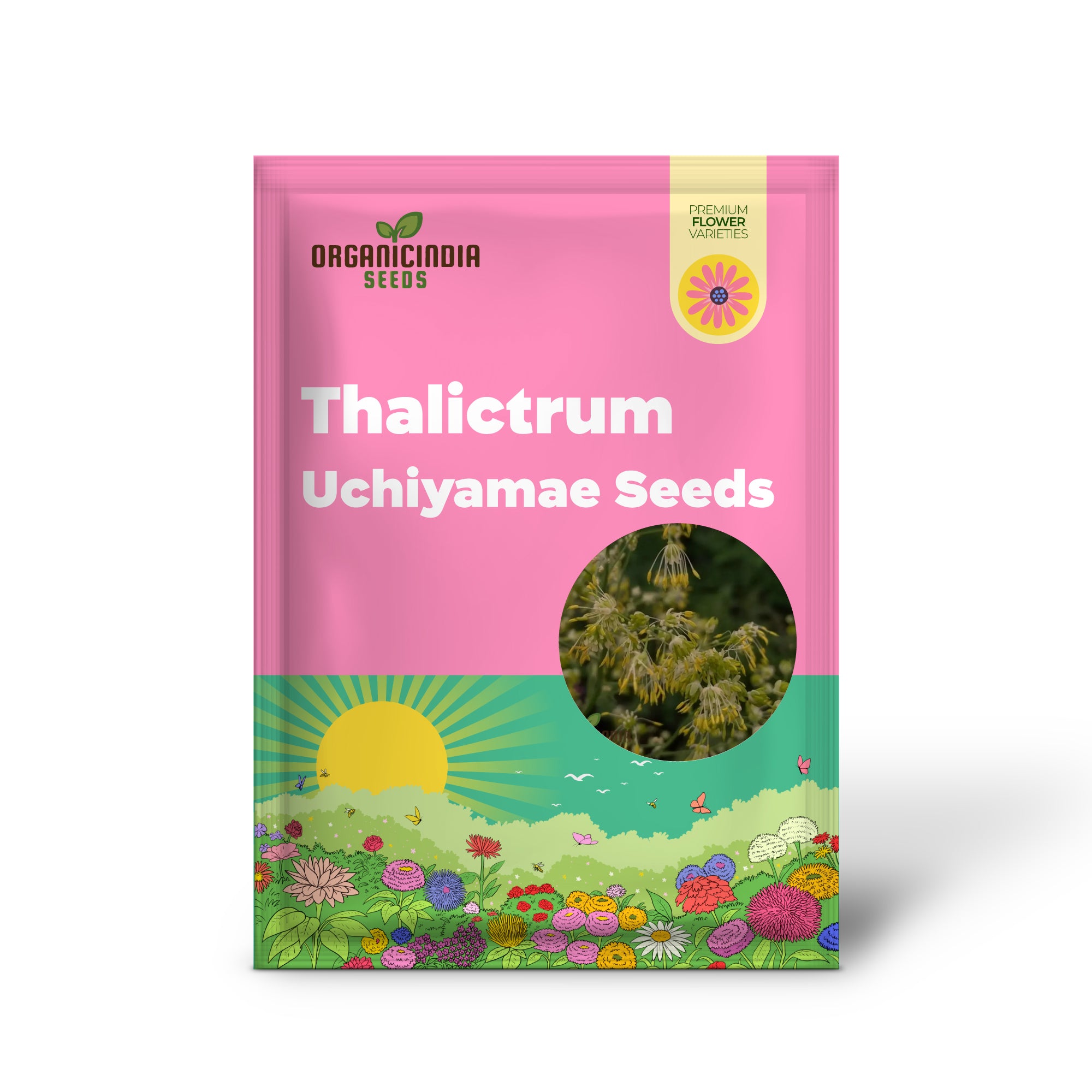 Graines de Thalictrum Uchiyamae pour le jardinage - Graines de fleurs uniques et rares pour votre jardin - Graines de Thalictrum Uchiyamae de haute qualité pour les jardiniers enthousiastes