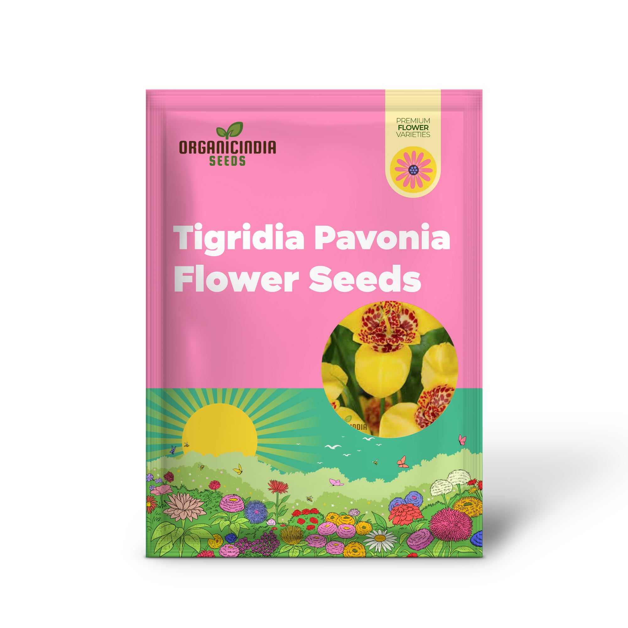 Graines de fleurs jaunes Tigridia Pavonia - Graines de jardin exotiques pour les fleurs d'été et les amateurs de jardinage