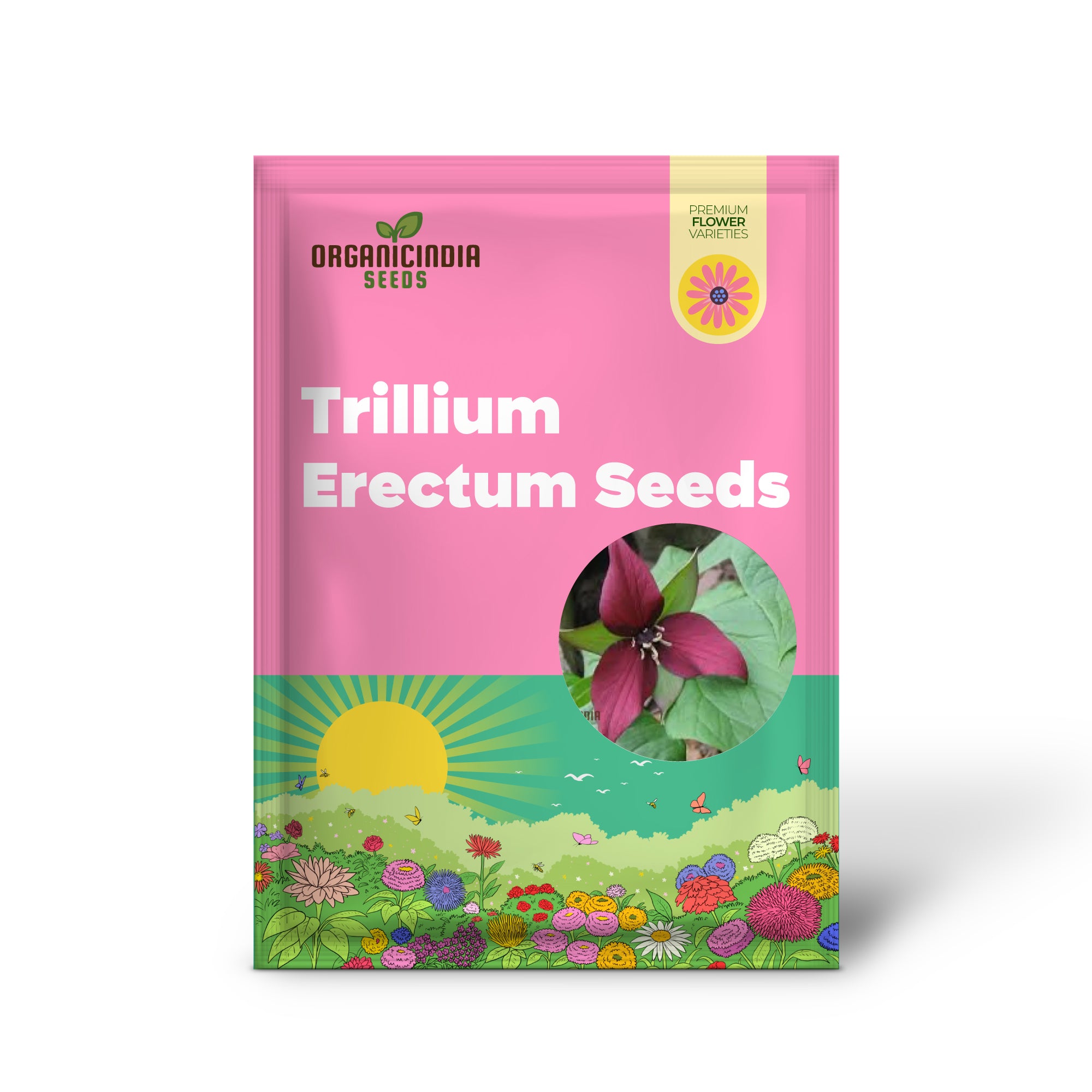 Trillium Erectum Seeds for Exquisite Gardening Enthusiasts | Rare Shade-Loving Perennial Seed Variety