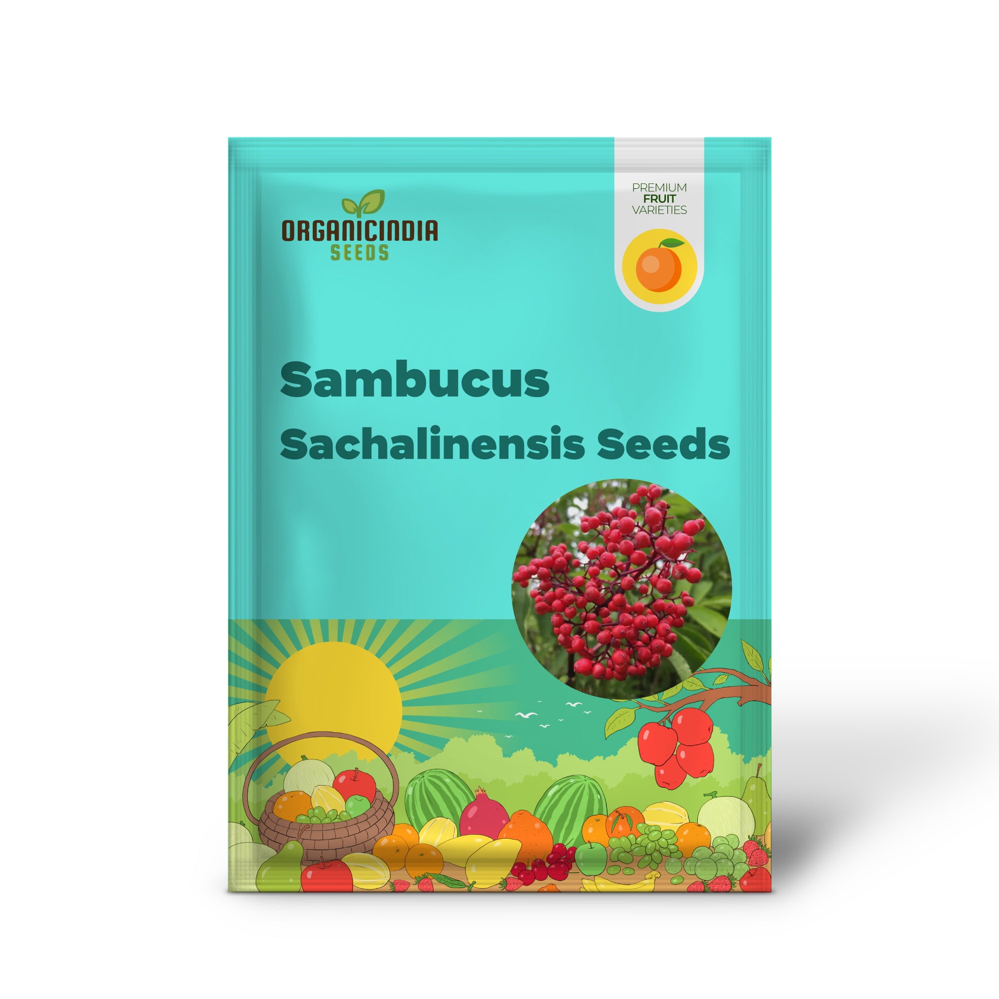 Sambucus Sachalinensis Seeds - Premium Gardening Planting Kit for Beginners and Experts