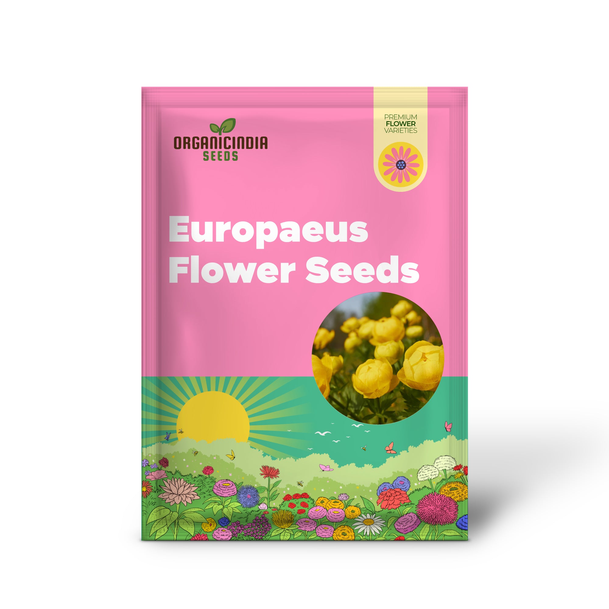 Trollius Europaeus Seeds for Vibrant European Globeflower Blooms | Enhance Your Gardening Experience with Hardy Perennial Flowers