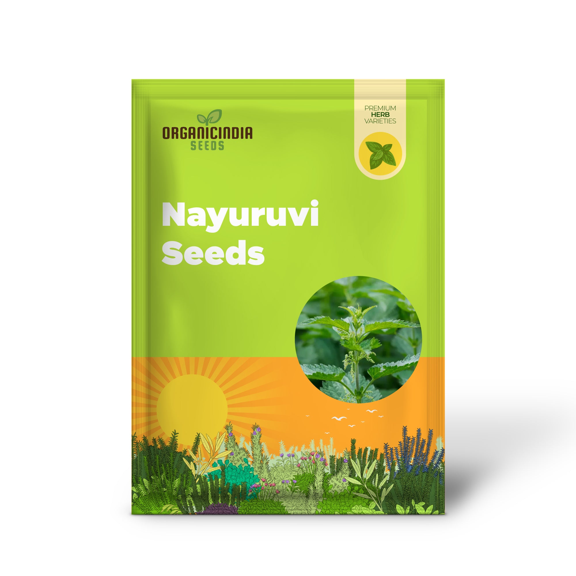 Nettle/Nayuruvi Seeds for Planting,Healthy, Nutritious Harvests Perfect for Home Gardening Enthusiasts!